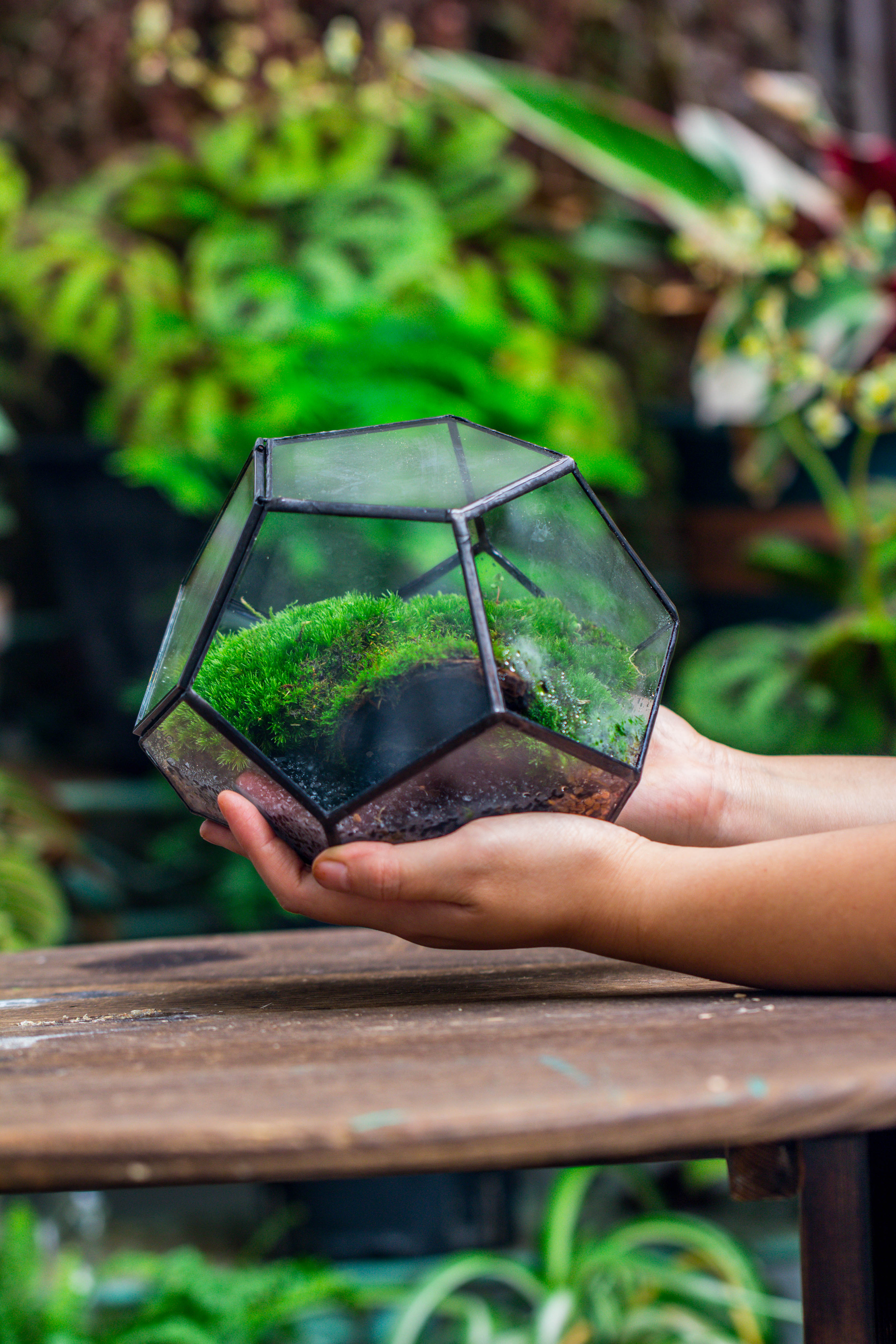 handmade geometric half ball, pentagon, close terrarium, with door for moss - NCYPgarden