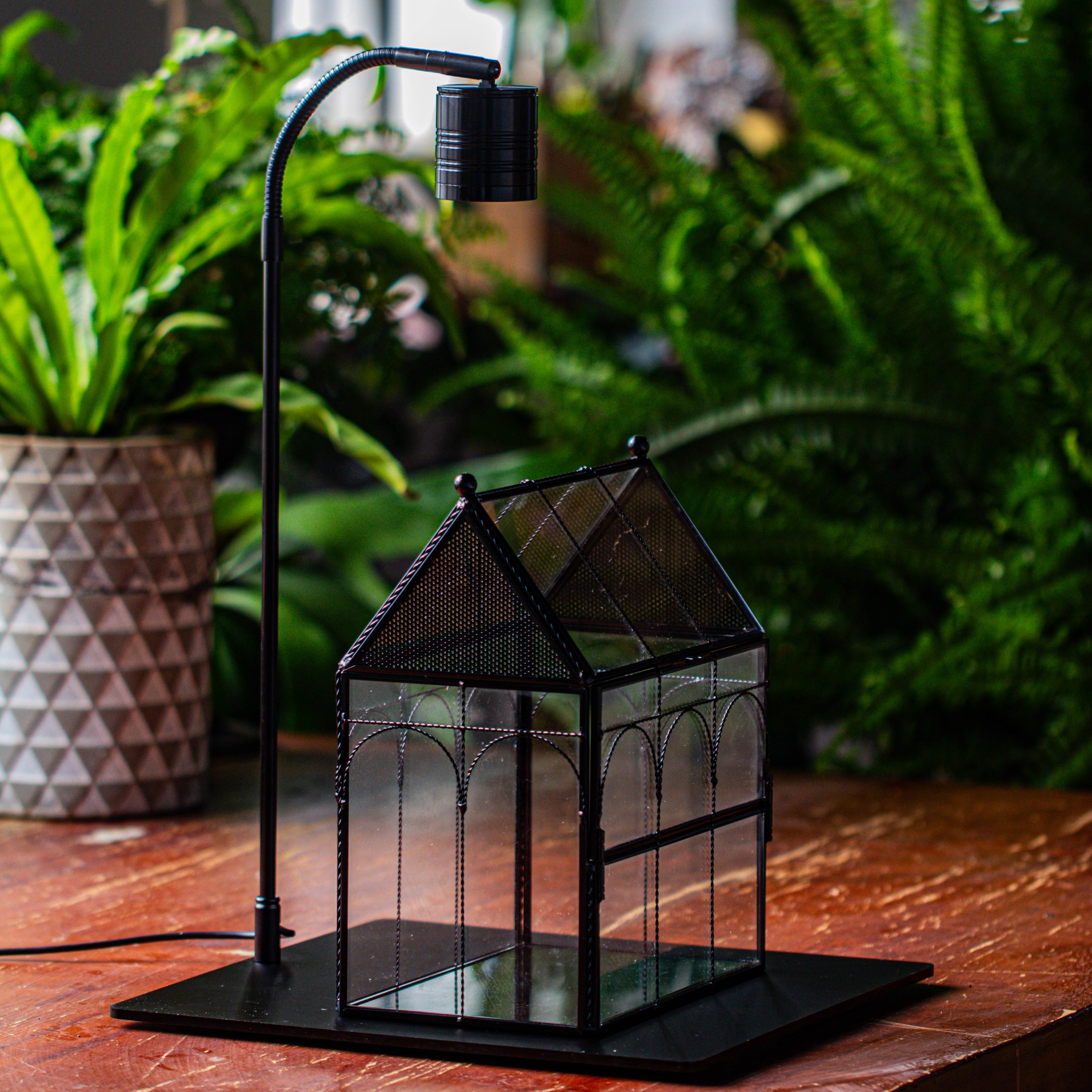 Handmade Twisted Wire House Shape Glass Geometric Terrarium with LED Light Set, Snail Jumping Spider Enclosure, Insect Container Set