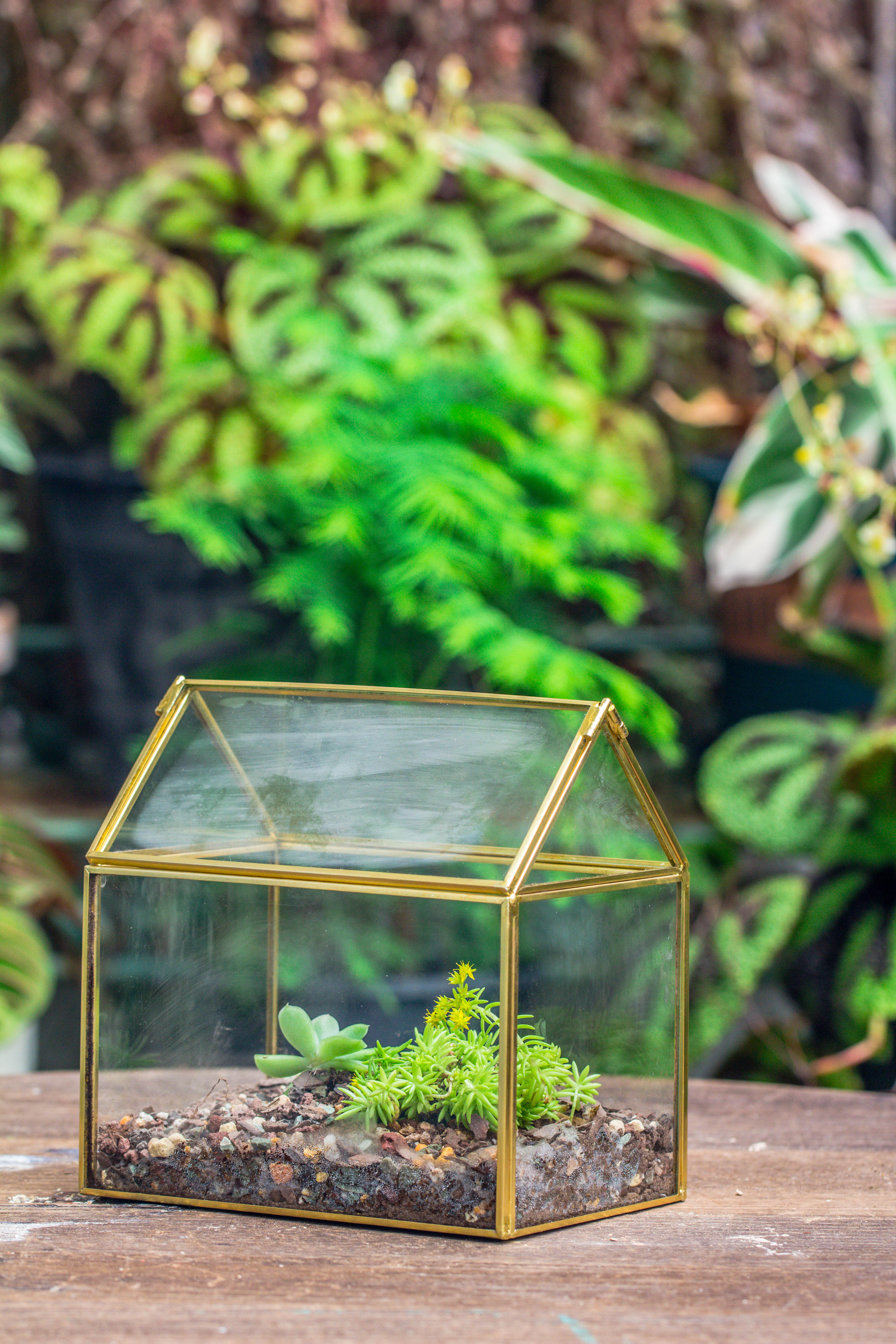 Handmade Black Gold Glass Box Geometric Terrarium with Lid for Planter Container Storage Case Gift - NCYPgarden