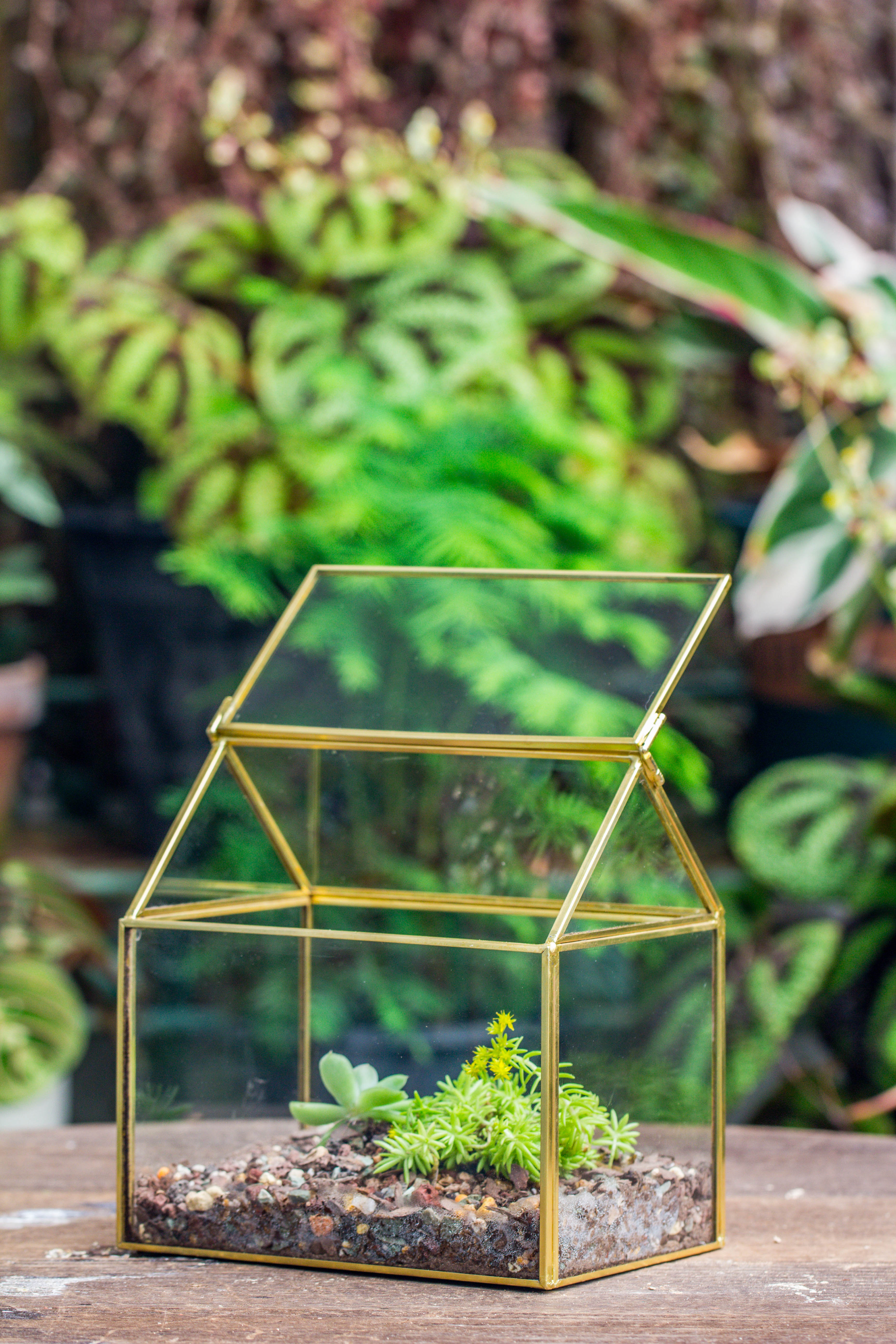 Handmade Black Gold Glass Box Geometric Terrarium with Lid for Planter Container Storage Case Gift - NCYPgarden