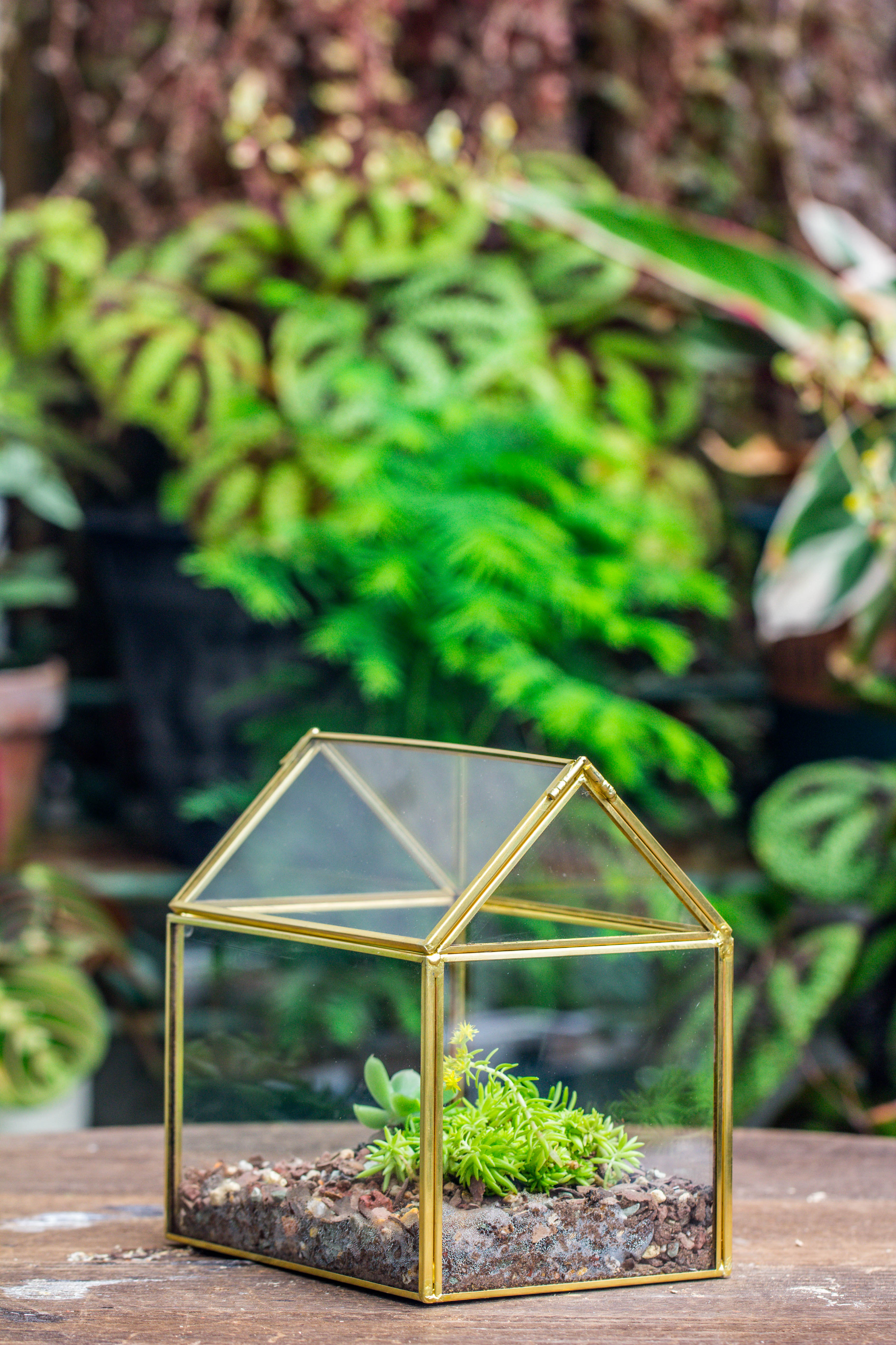 Handmade Black Gold Glass Box Geometric Terrarium with Lid for Planter Container Storage Case Gift - NCYPgarden