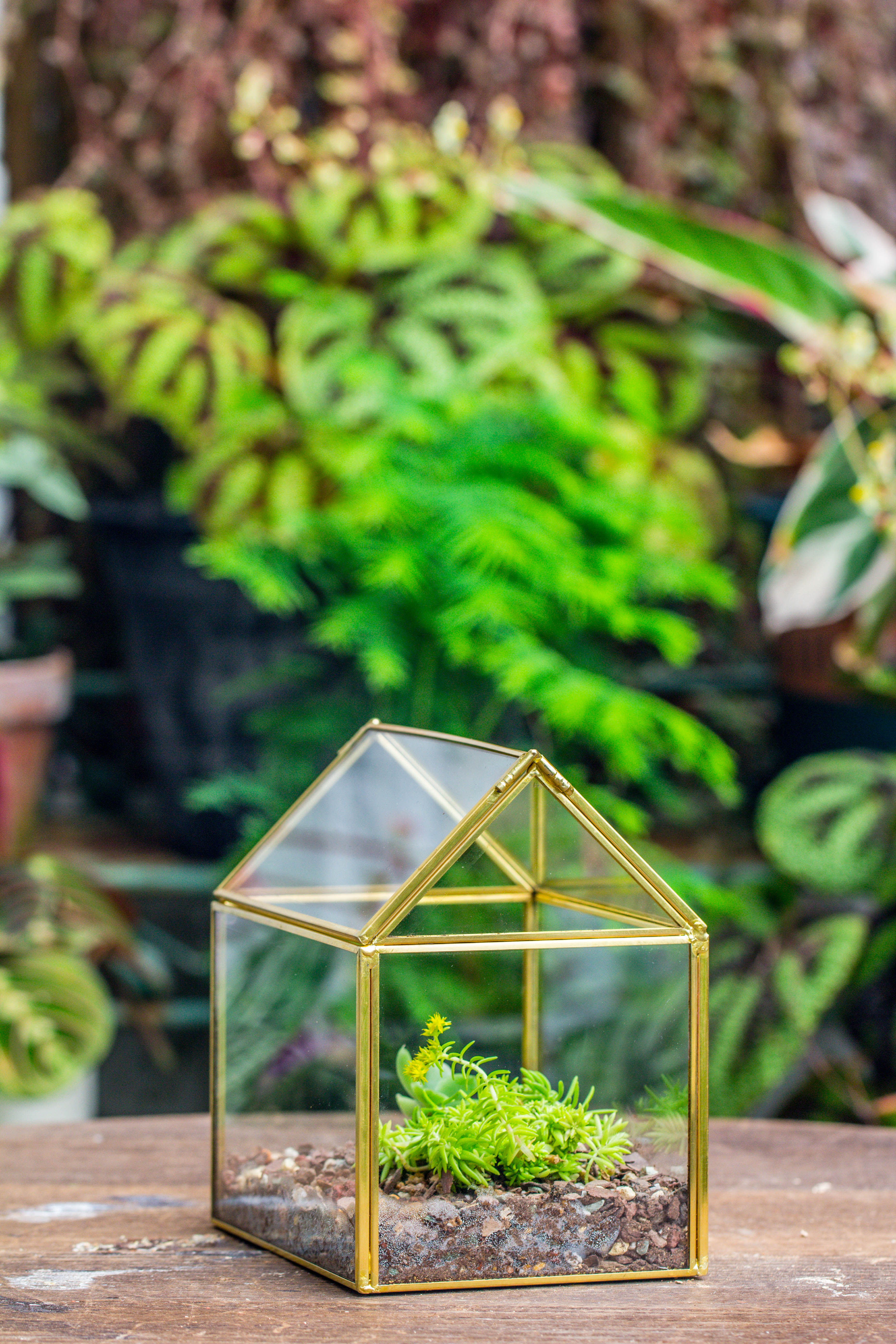 Handmade Black Gold Glass Box Geometric Terrarium with Lid for Planter Container Storage Case Gift - NCYPgarden