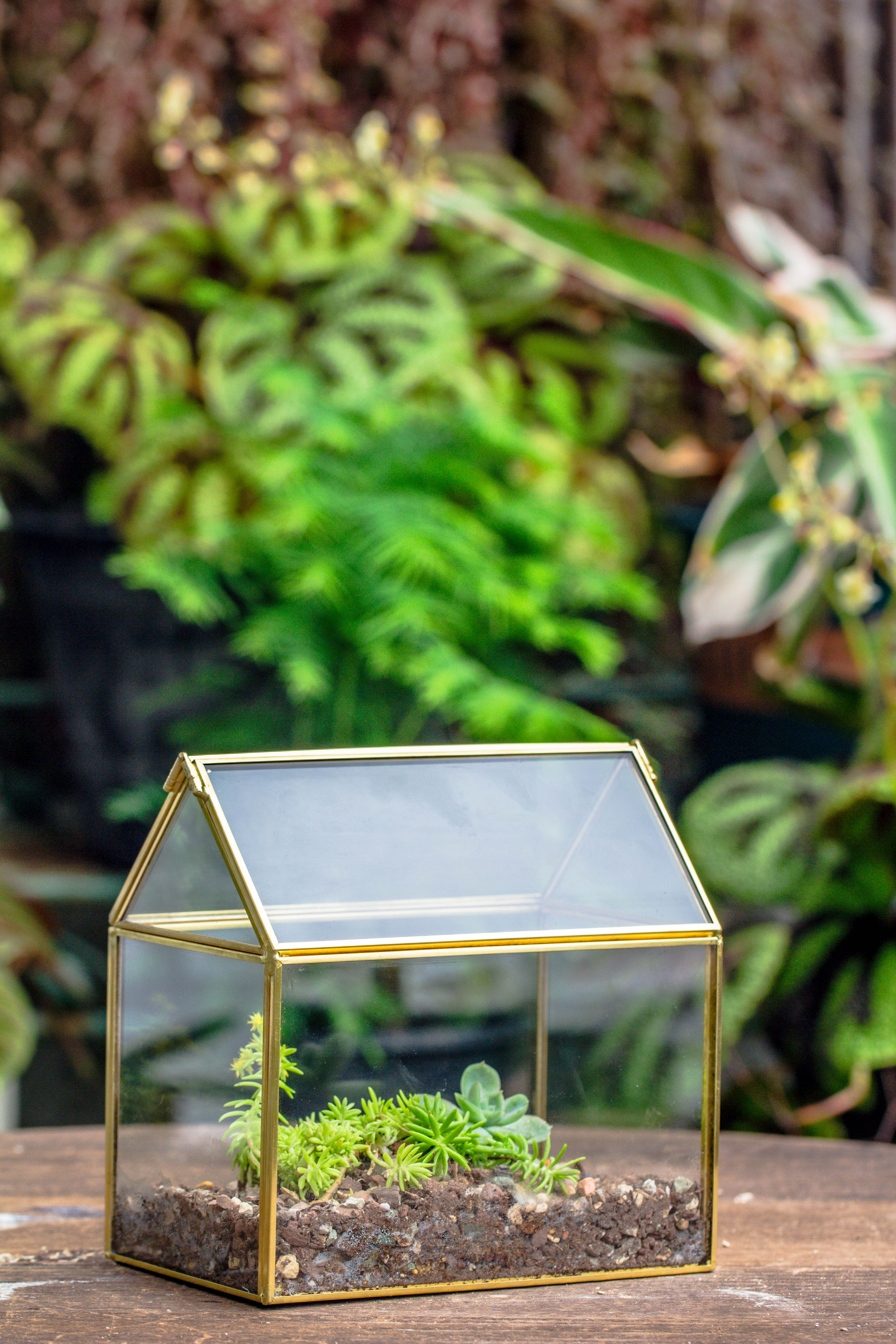 Handmade Black Gold Glass Box Geometric Terrarium with Lid for Planter Container Storage Case Gift - NCYPgarden