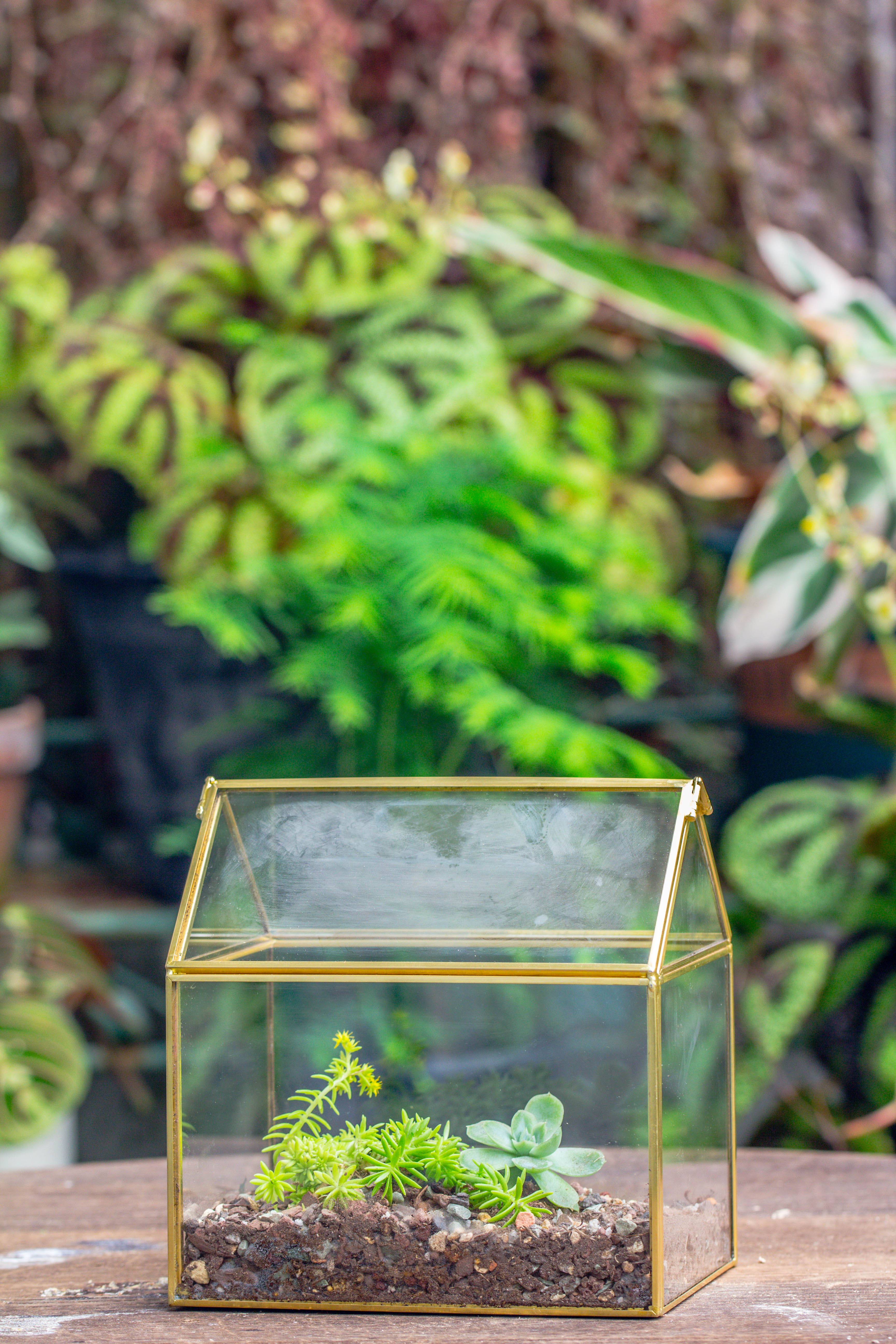 Handmade Black Gold Glass Box Geometric Terrarium with Lid for Planter Container Storage Case Gift - NCYPgarden