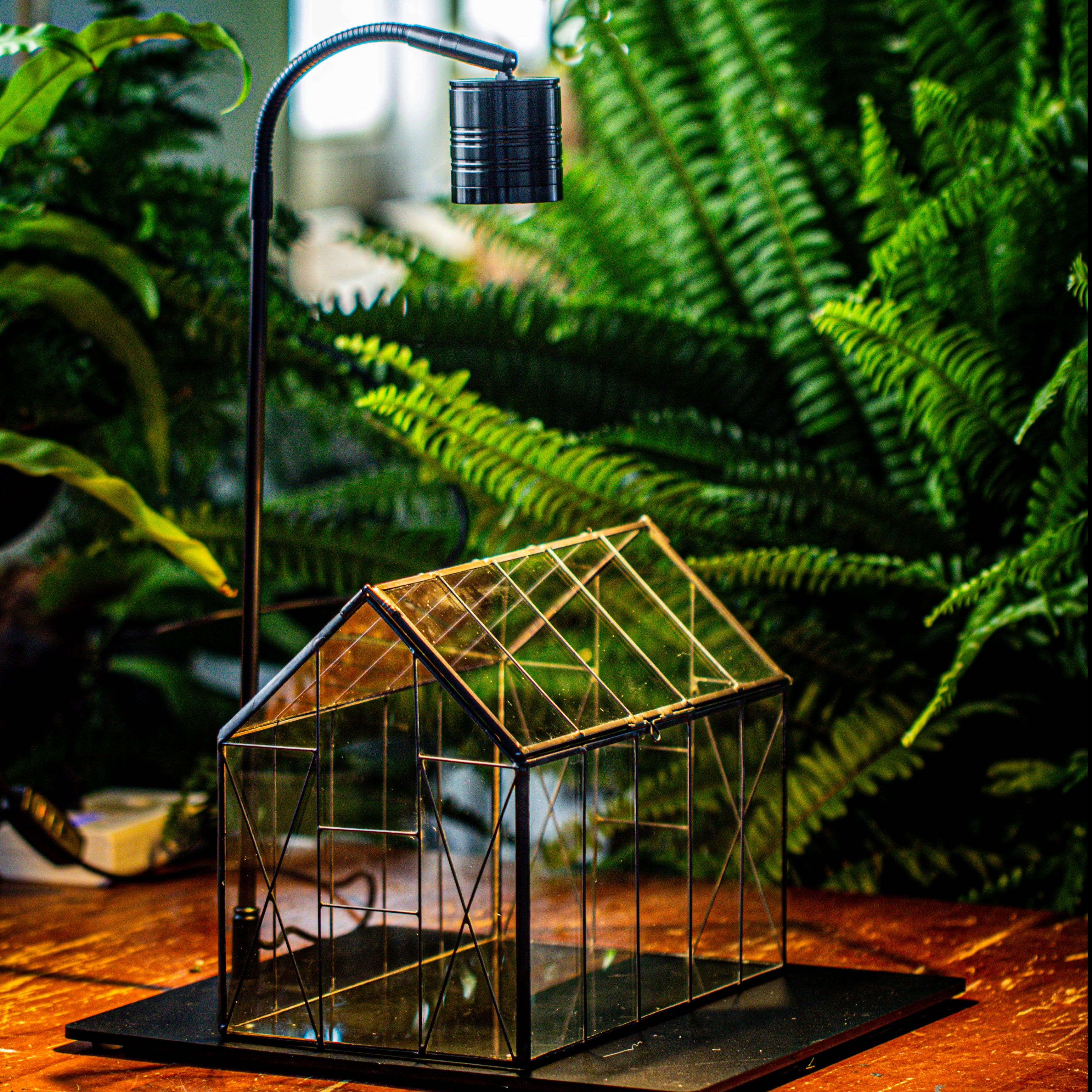 Handmade Vintage Greenhouse Inspired Tin Terrarium with LED Grow Light Set, Closed Glass Planter Set