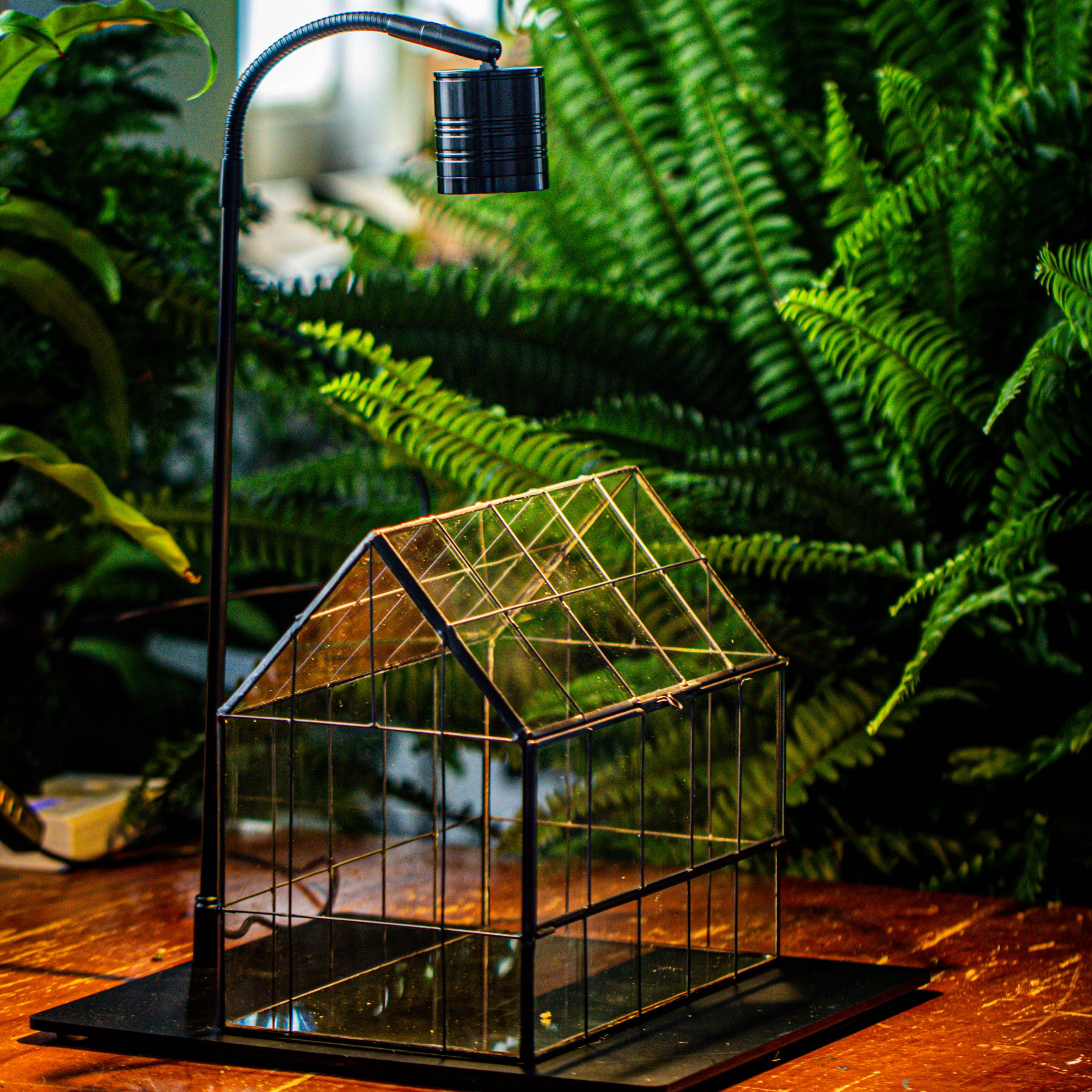 Handmade Glass Terrarium with LED Grow Light Set, Side Door Closed Geometric GreenHouse with Base and Light Set