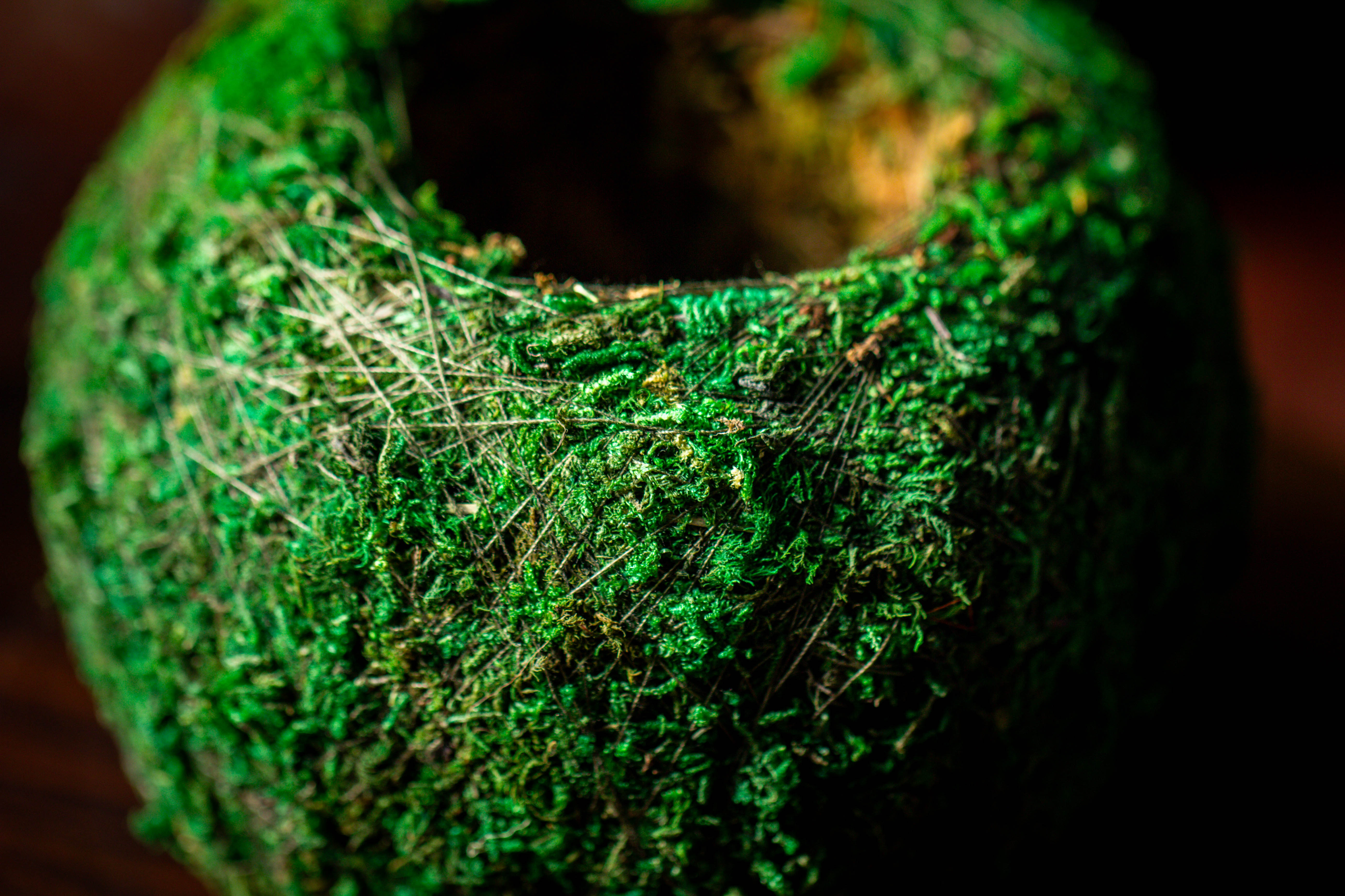 Preserved Hypnum plumaeforme Wils. Moss Ball, Kokedama planter - NCYPgarden