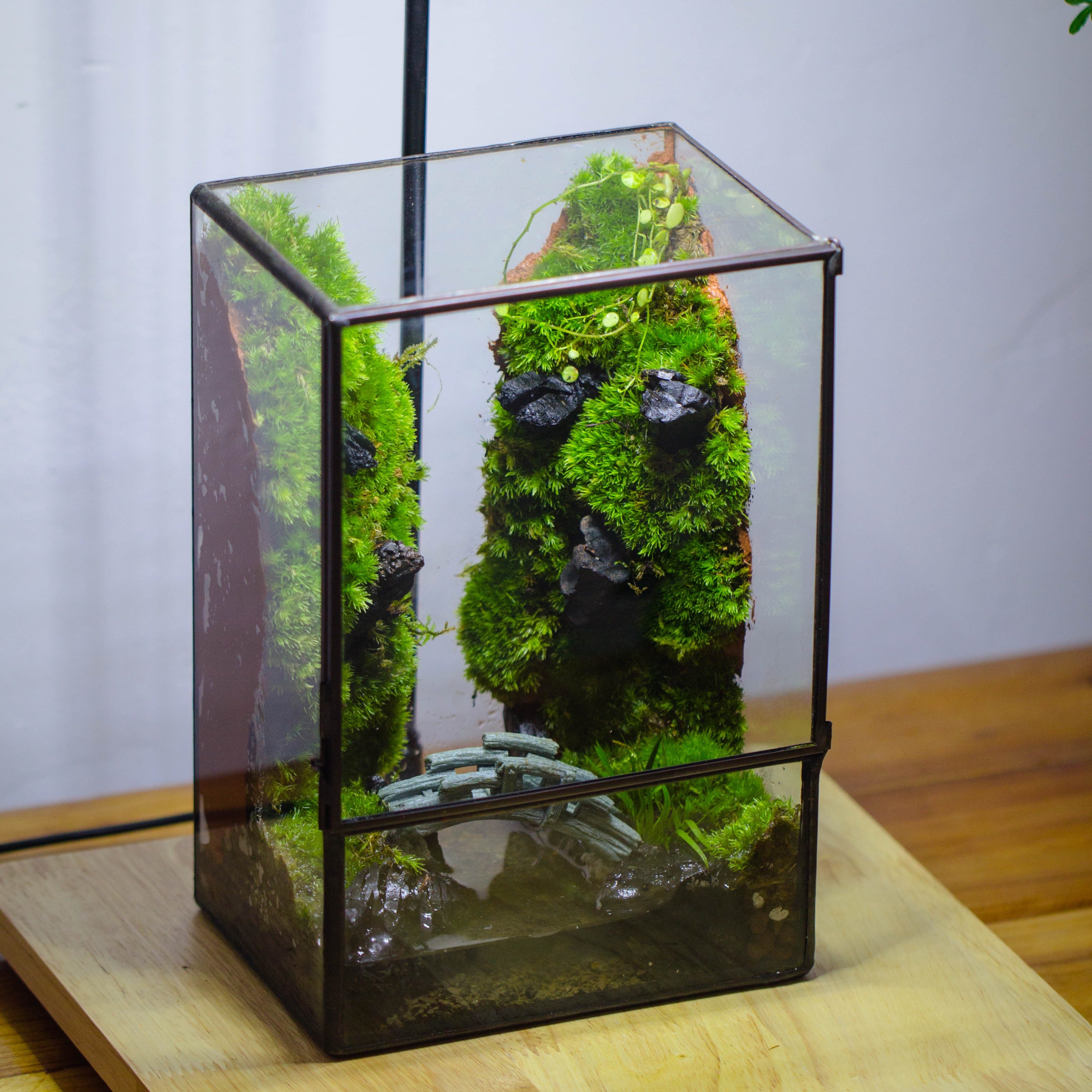 Close Geometric Glass Tin Terrarium , Watertight, 8x10" Container for Moss Wall, Fern, Landscape waterpond, No plants - NCYPgarden