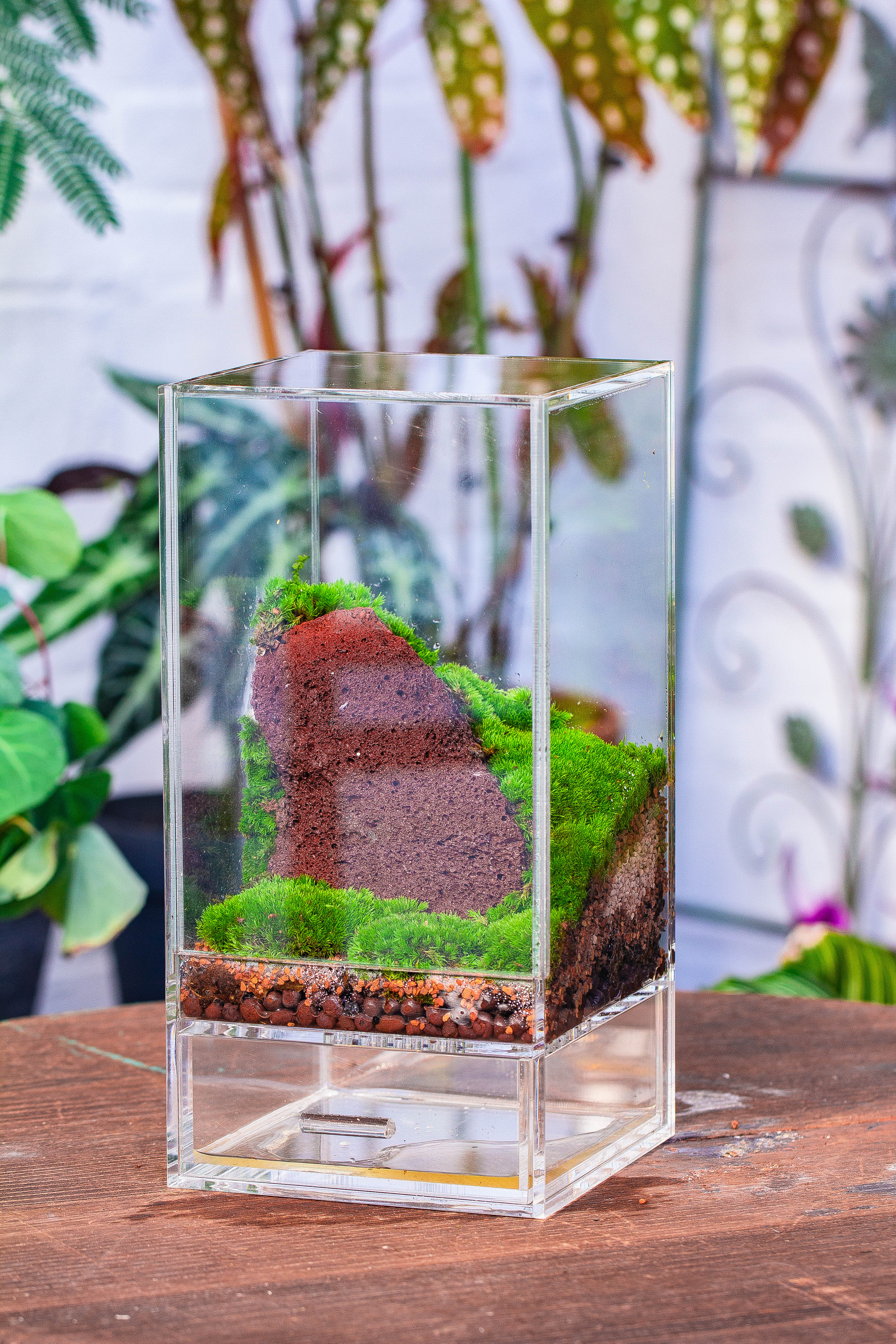 NCYP Acrylic Close terrarium with drainage bottom, suits for Fly Trap, Pitcher Plants, Moss Ball, Nursery, Small tropical Plants - NCYPgarden