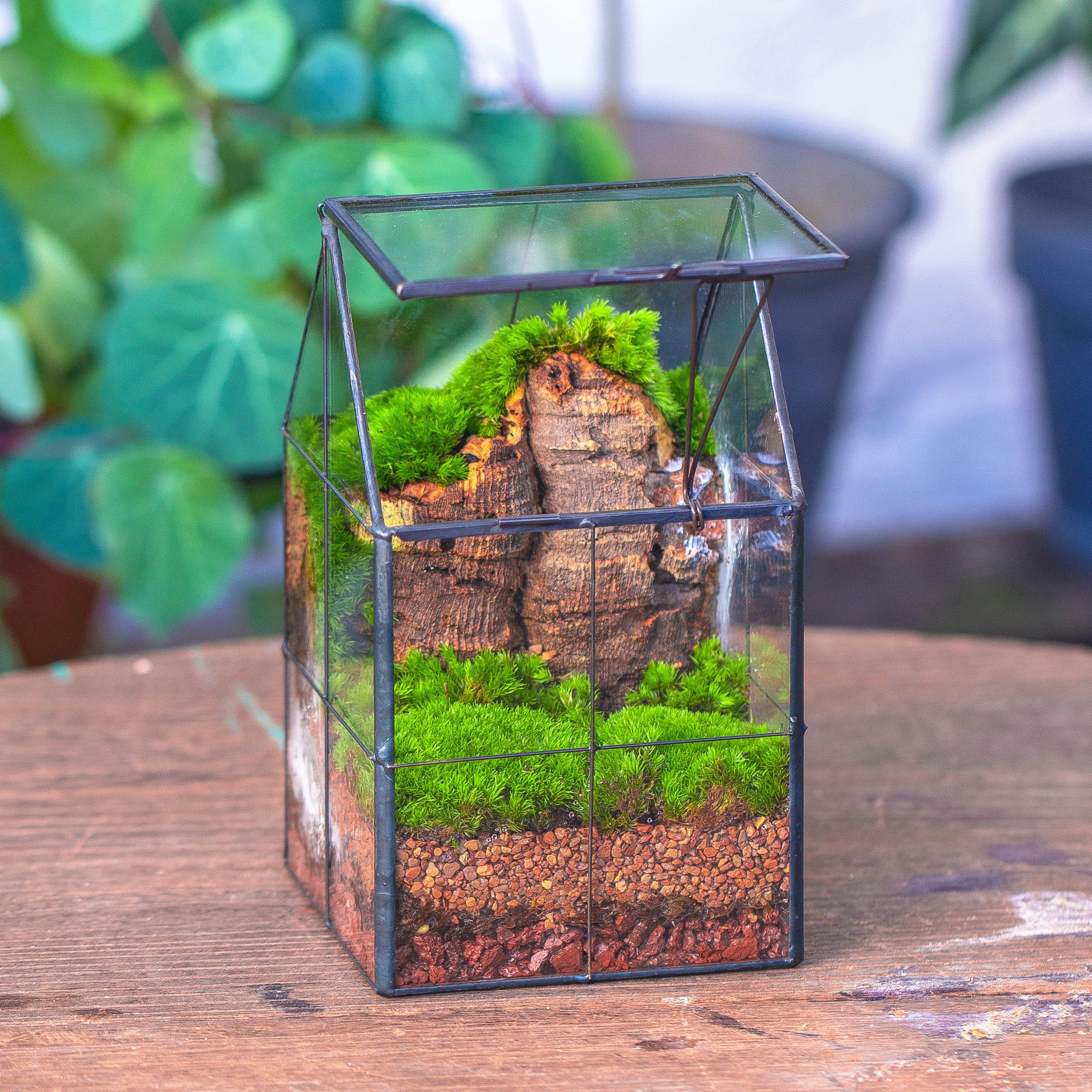 Handmade glass and tin close highe mini house shape close geometric terrarium for moss, succulents, Drosera - NCYPgarden