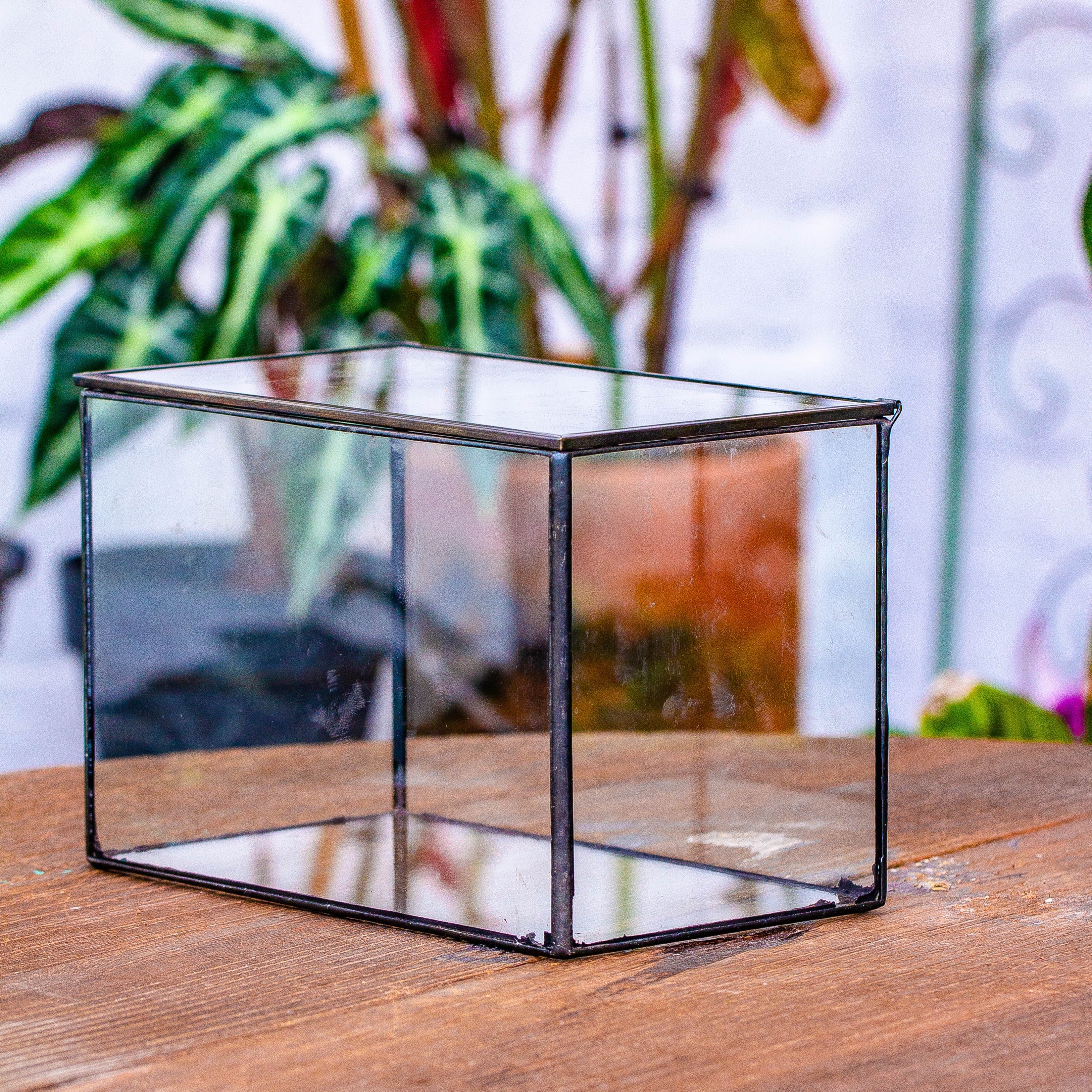 NCYP Watertight Close Small Rectangle Geometric Glass Tin Terrarium, for small waterpond, moss landscape, Live Miniature, water pond - NCYPgarden