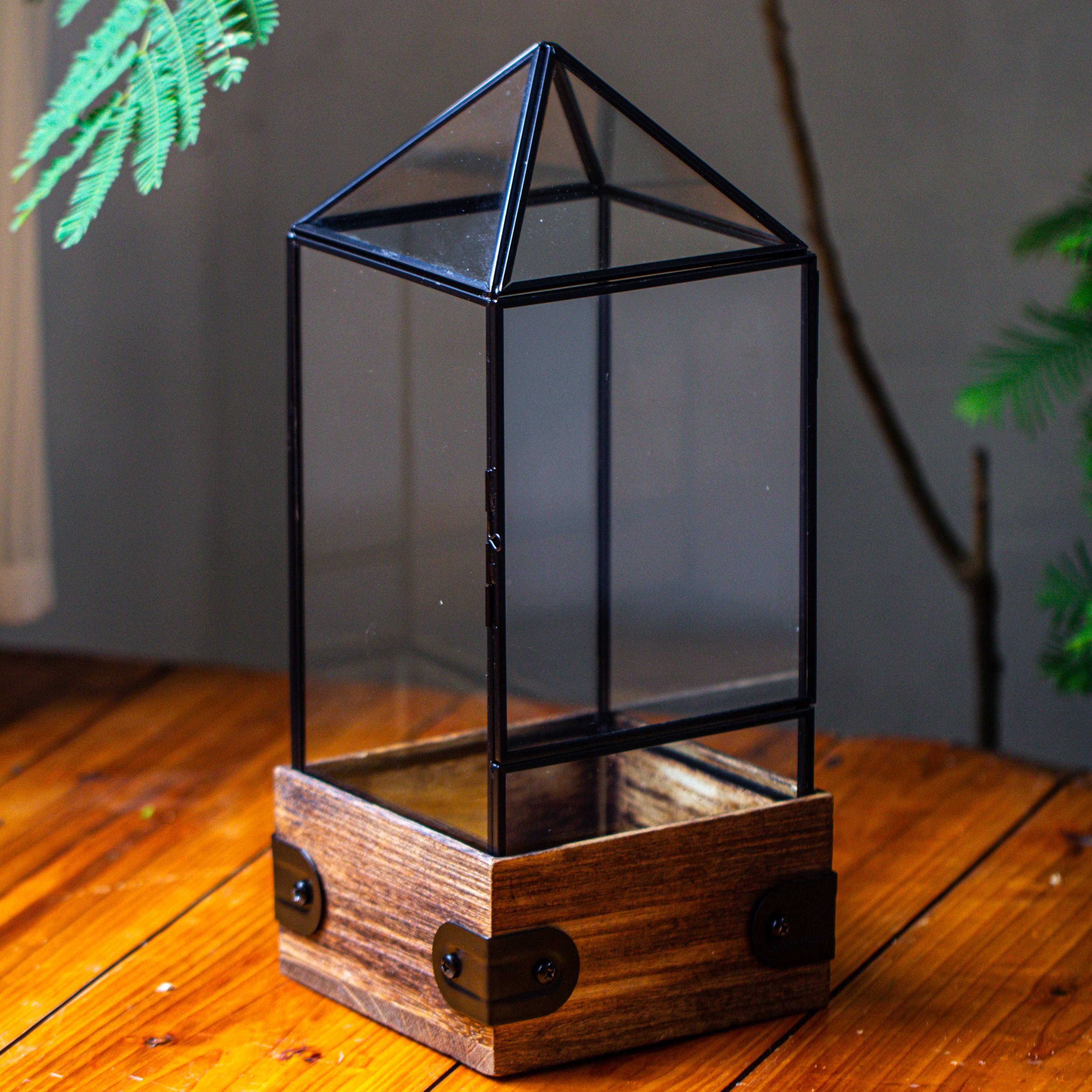 Handmade Glass Terrarium with Wood Base, Pyramid Shape Planter with Door for Plants, Moss Landscapes, Plant Lover Gift