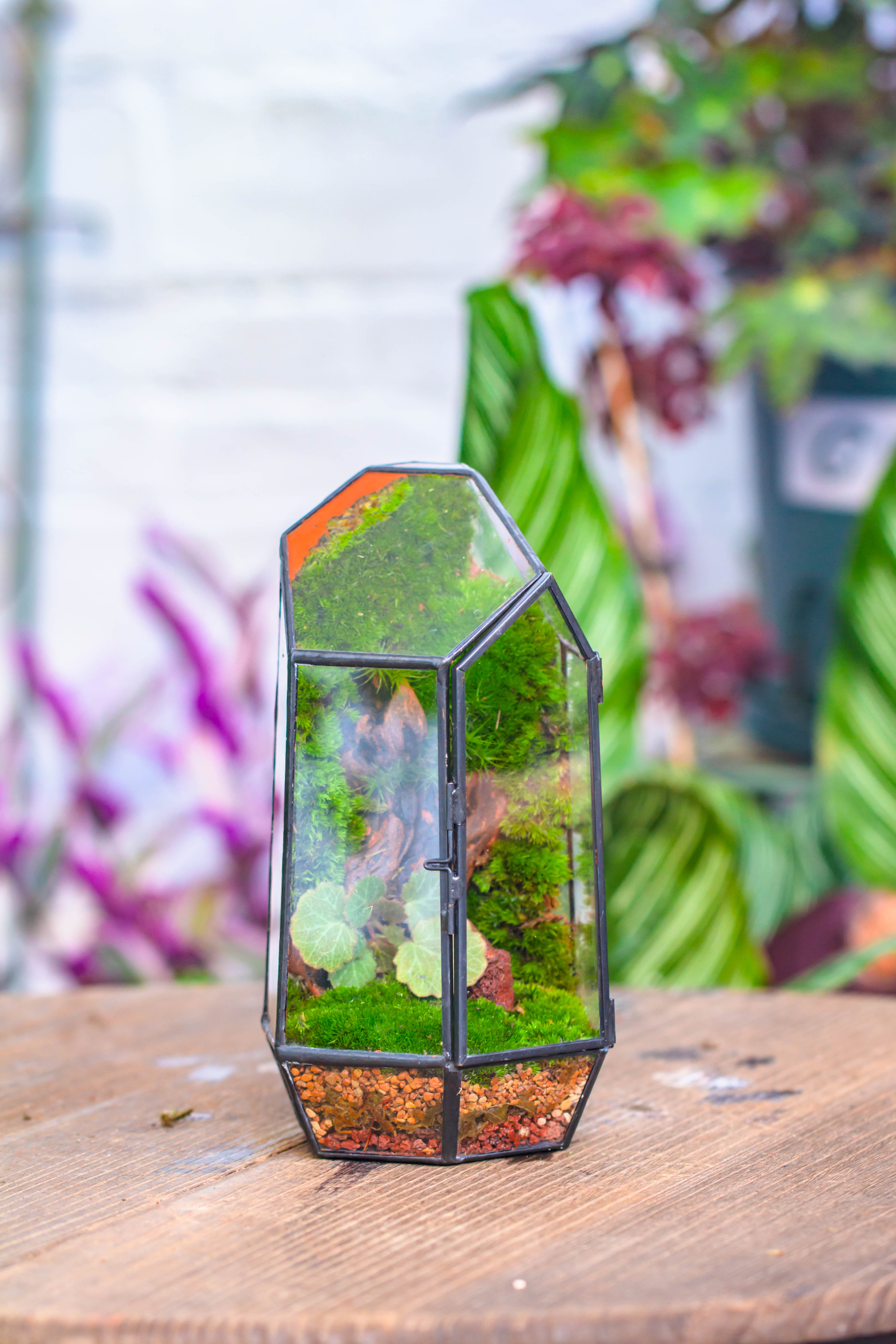 Handmade Black Various Size Irregular Tall Geometric Glass Terrarium Garden Succulents - NCYPgarden