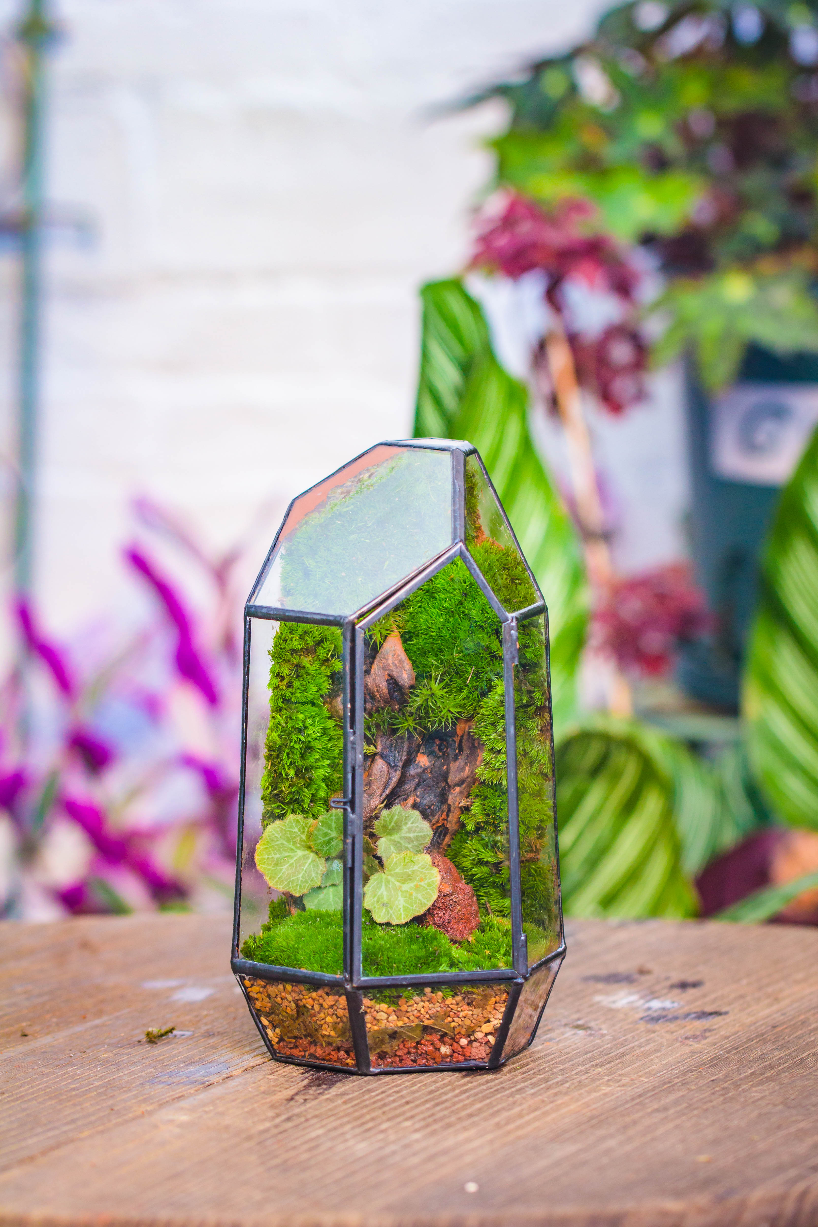 Handmade Black Various Size Irregular Tall Geometric Glass Terrarium Garden Succulents - NCYPgarden