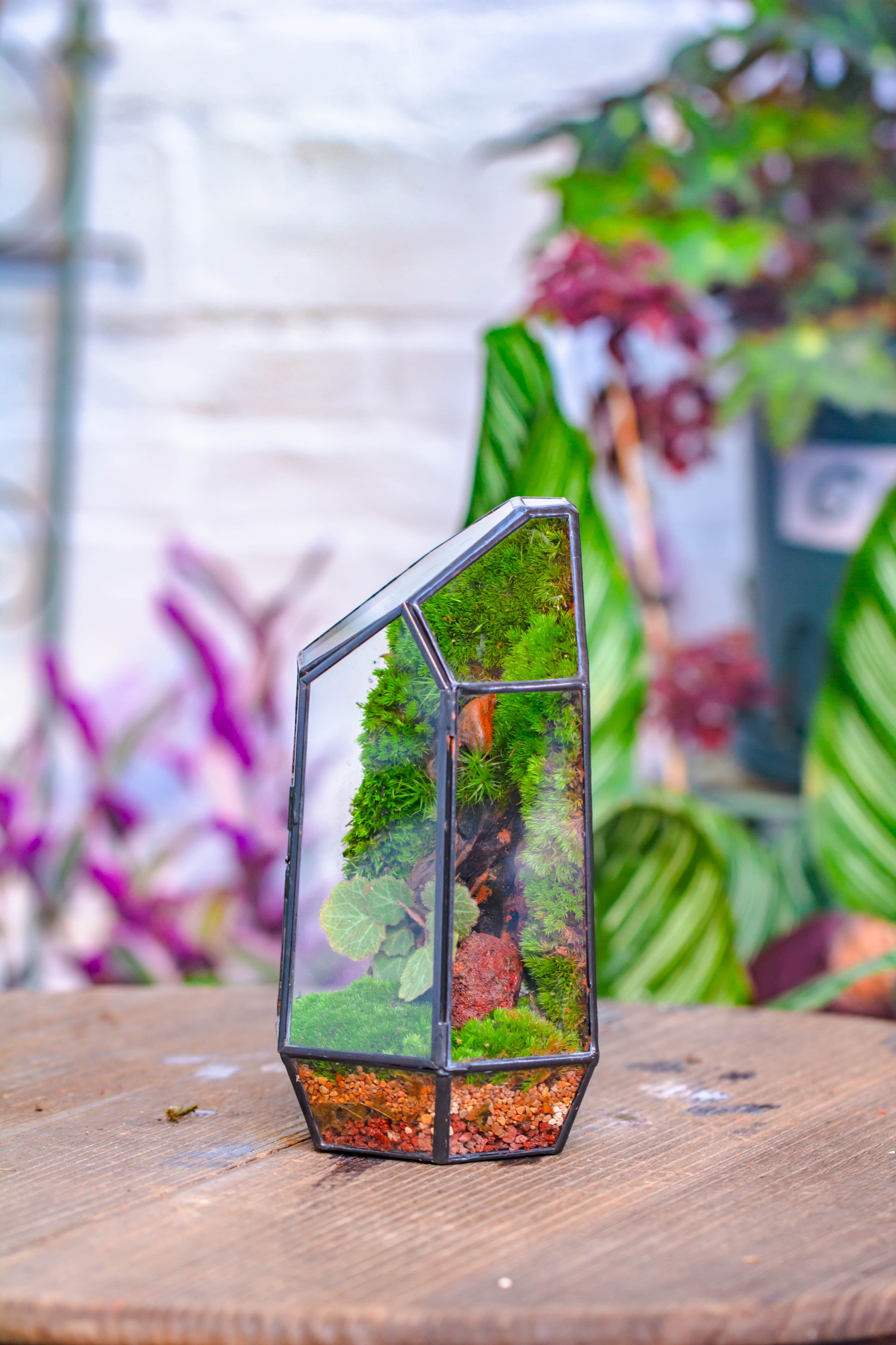 Handmade Black Various Size Irregular Tall Geometric Glass Terrarium Garden Succulents - NCYPgarden