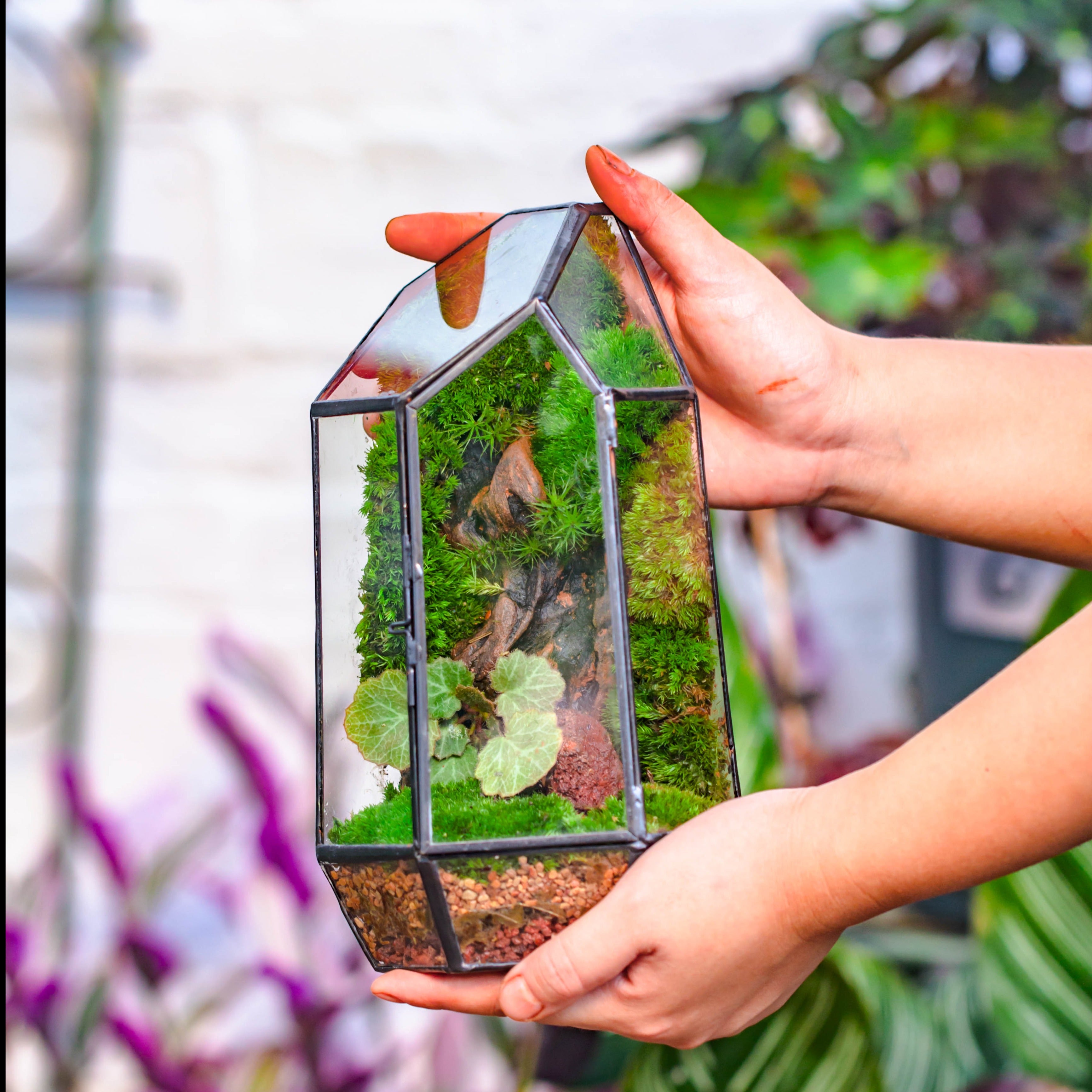 Handmade Black Various Size Irregular Tall Geometric Glass Terrarium Garden Succulents - NCYPgarden