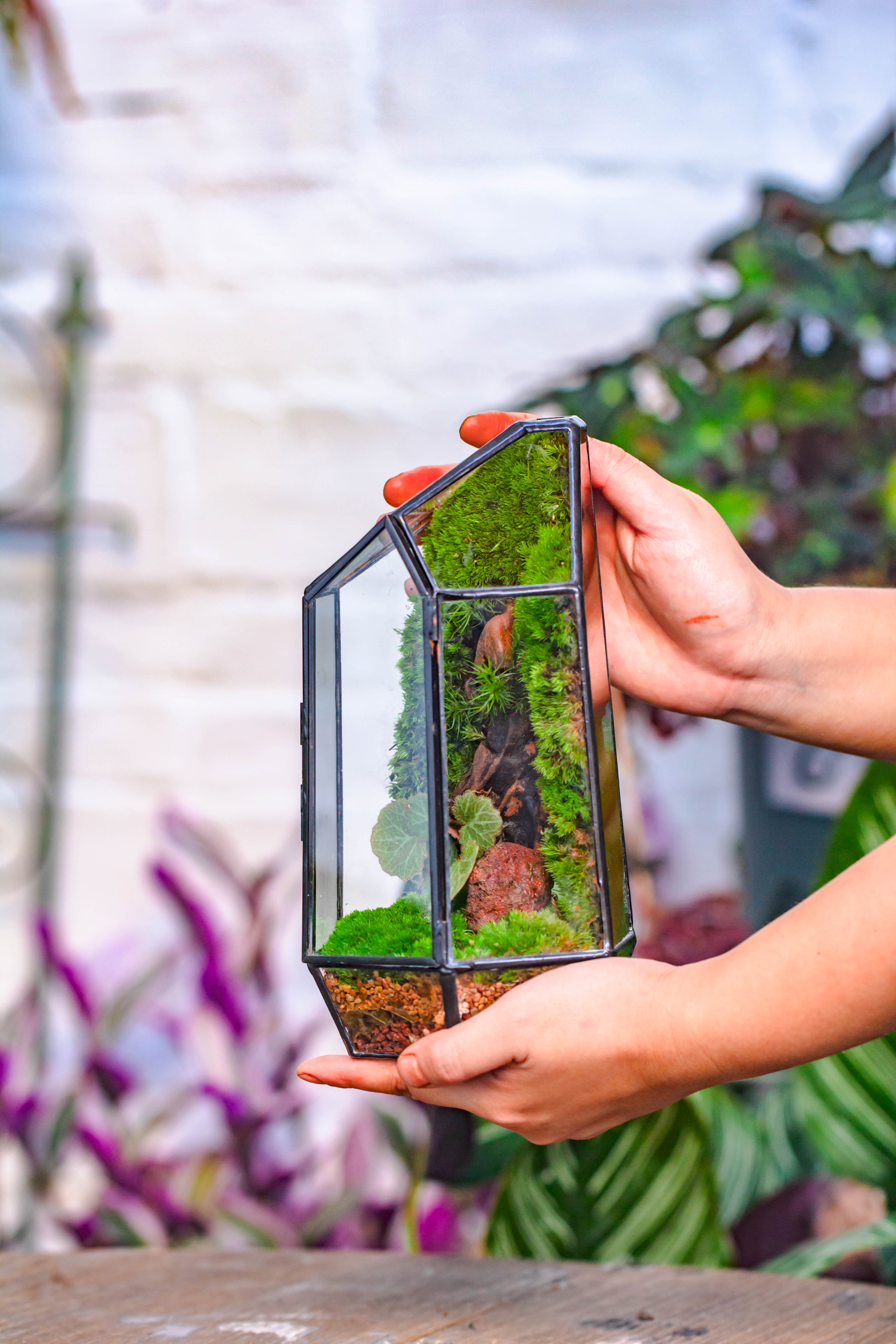 Handmade Black Various Size Irregular Tall Geometric Glass Terrarium Garden Succulents - NCYPgarden