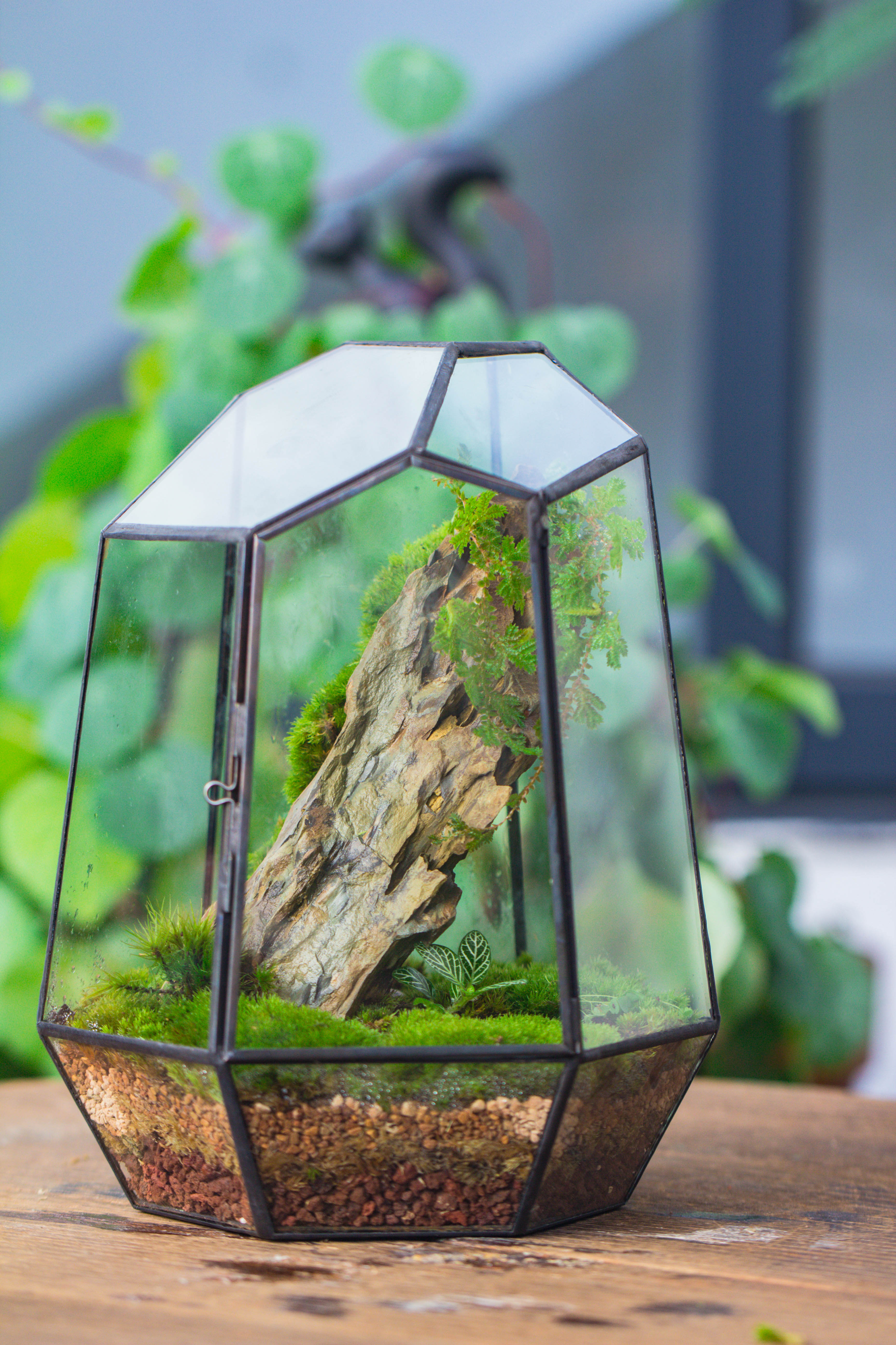 NCYP Close Geometric Glass Terrarium with Door, Tin Sealed Irregular Tall Planter for moss Flower Pot - NCYPgarden