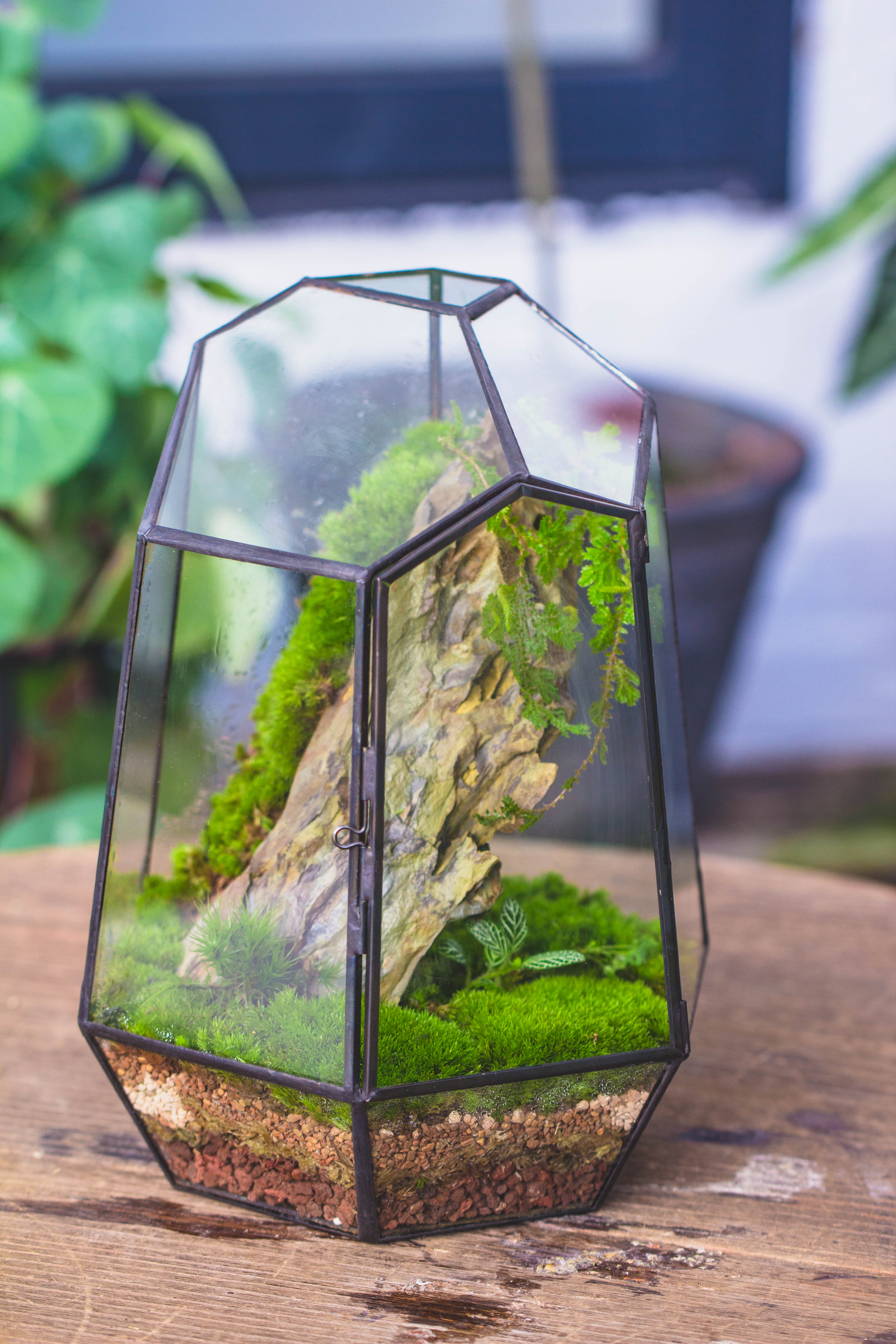 NCYP Close Geometric Glass Terrarium with Door, Tin Sealed Irregular Tall Planter for moss Flower Pot - NCYPgarden