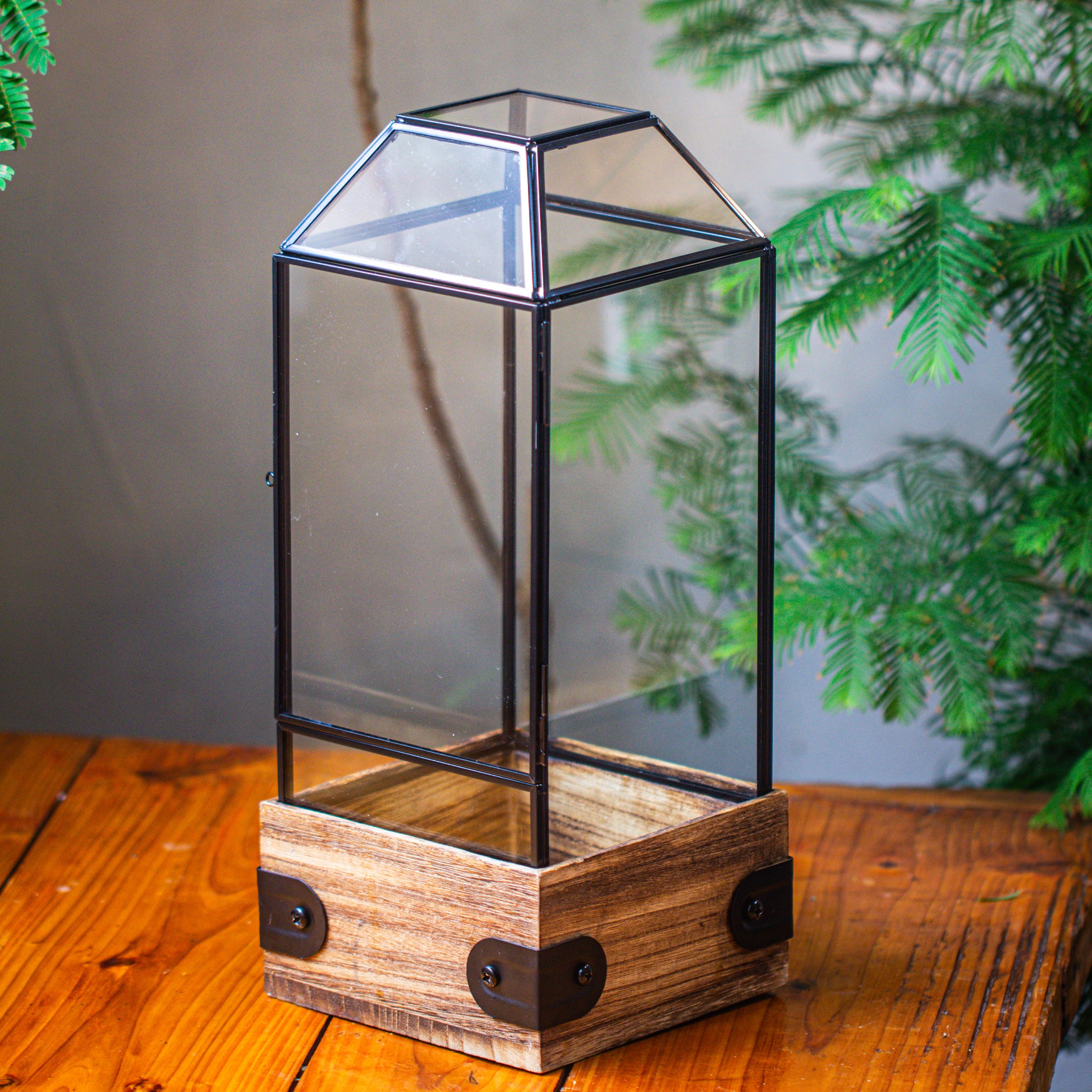 Handmade Glass Terrarium with Wood Base, Geometric  Planter with Door for Plants, Moss Landscapes, Plant Lover Gift