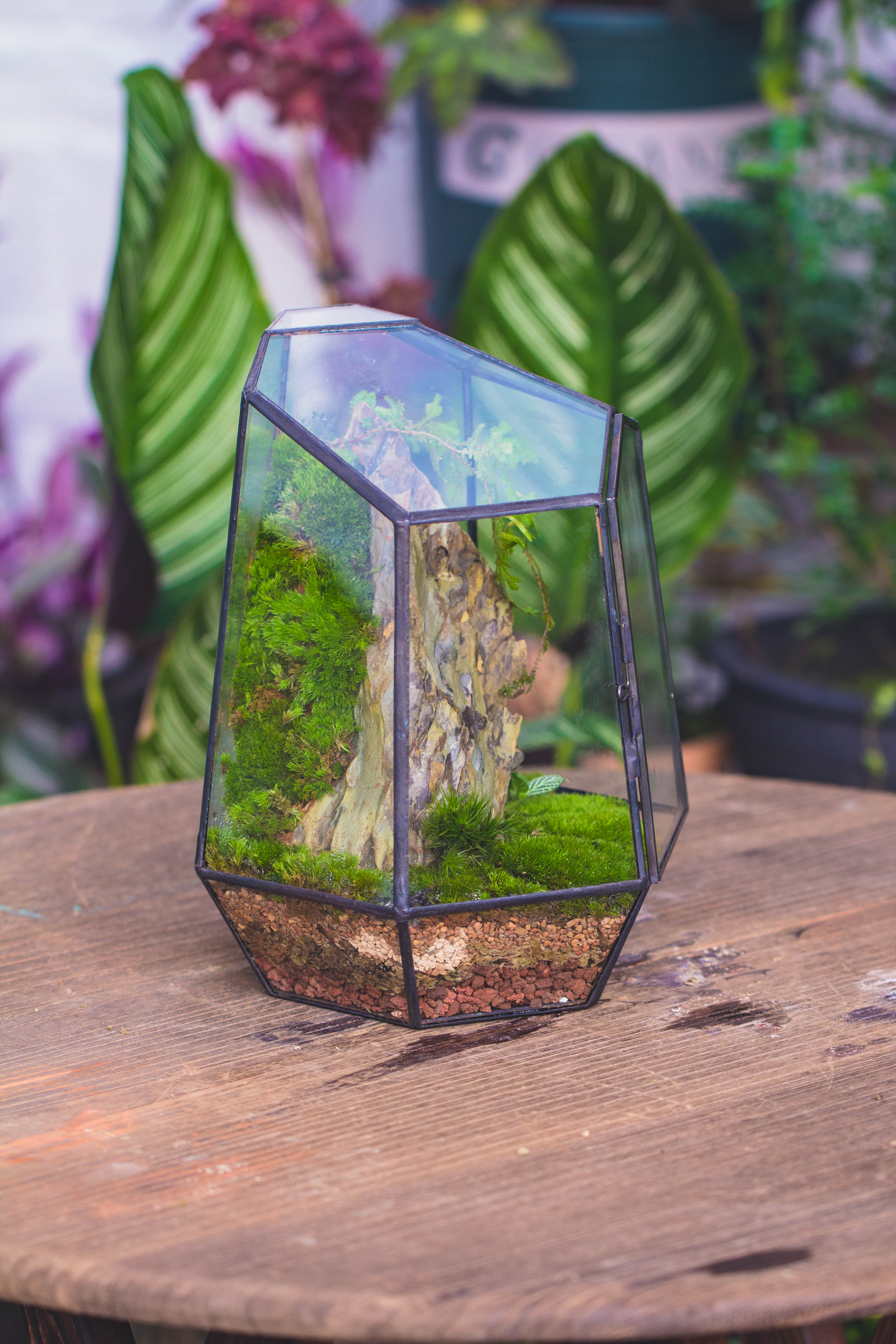 NCYP Close Geometric Glass Terrarium with Door, Tin Sealed Irregular Tall Planter for moss Flower Pot - NCYPgarden