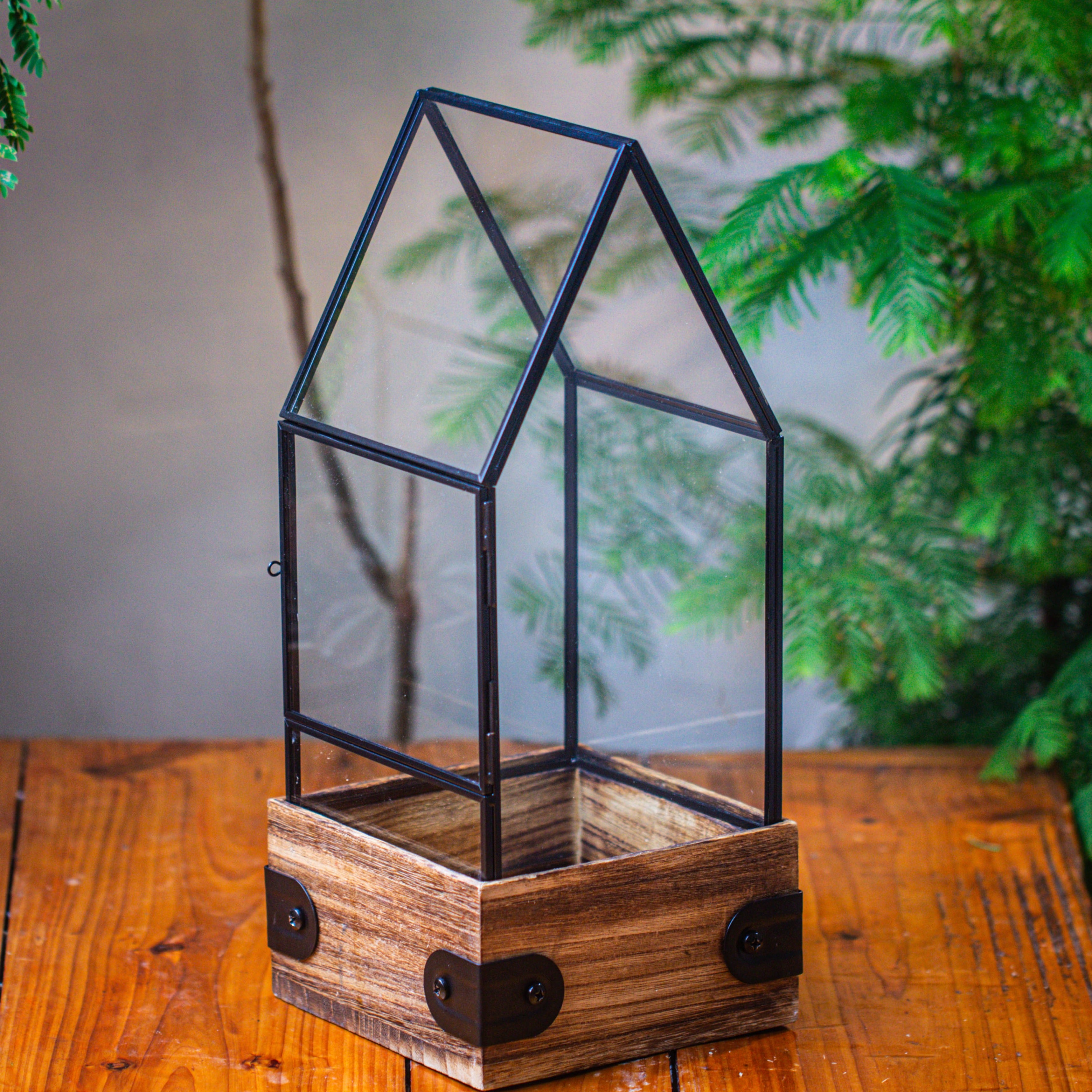 Handmade Glass Terrarium with Wood Base, House Shape Planter with Door for Plants, Moss Landscapes, Plant Lover Gift