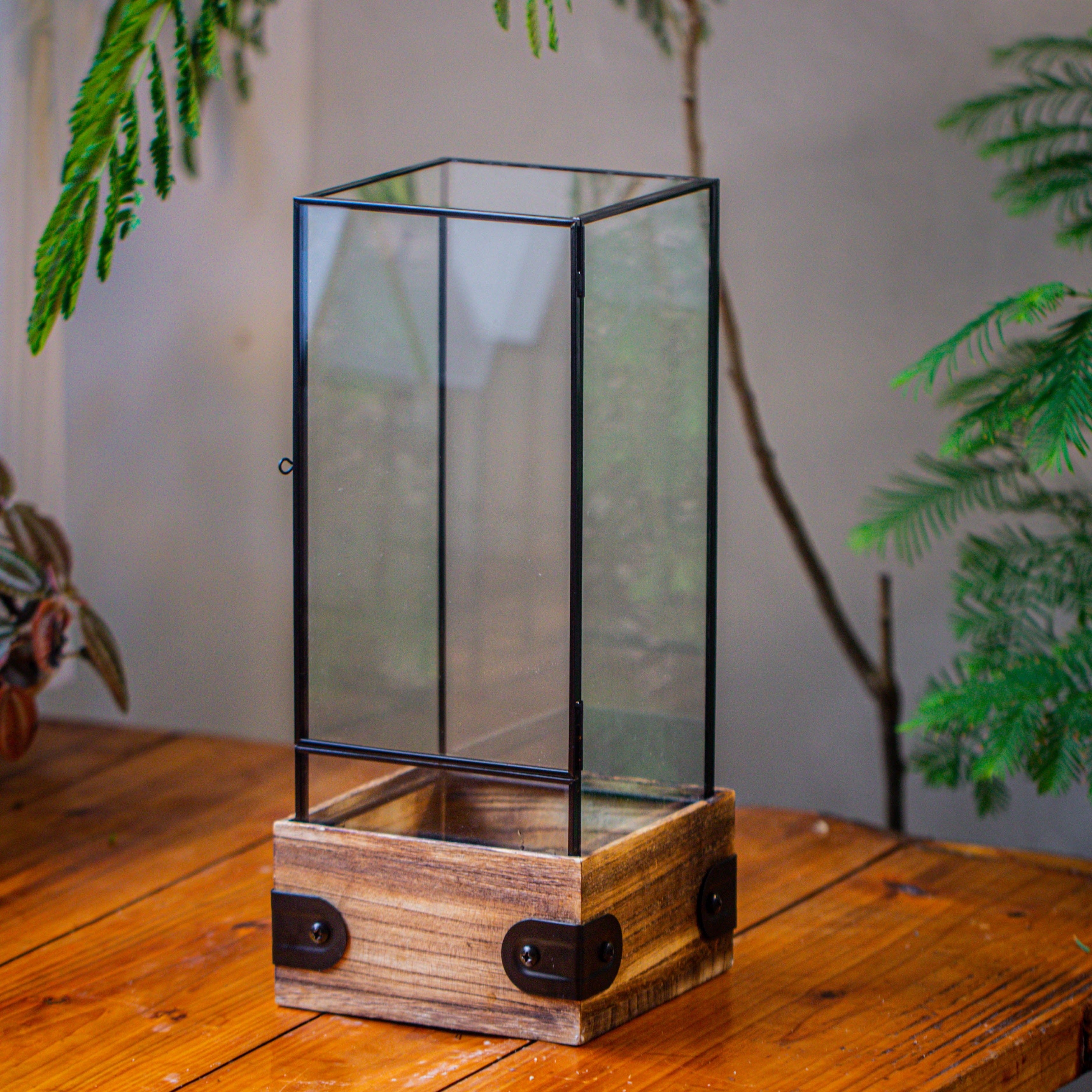 Handmade Glass Terrarium with Wood Base, Rectangular Planter with Door for Plants, Moss Landscapes, Plant Lover Gift