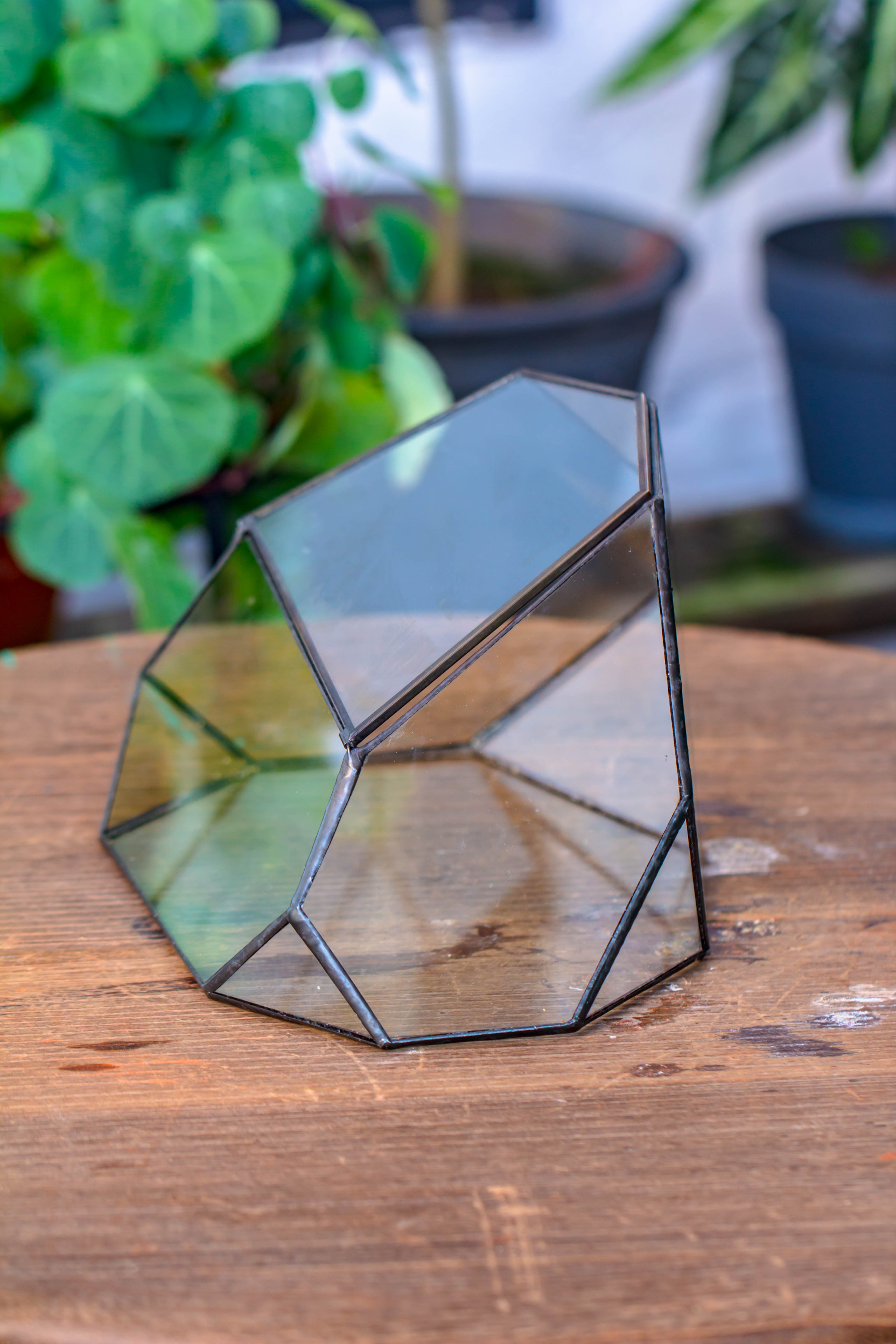 Irregular geometric rock shape glass and tin terrarium, for moss - NCYPgarden