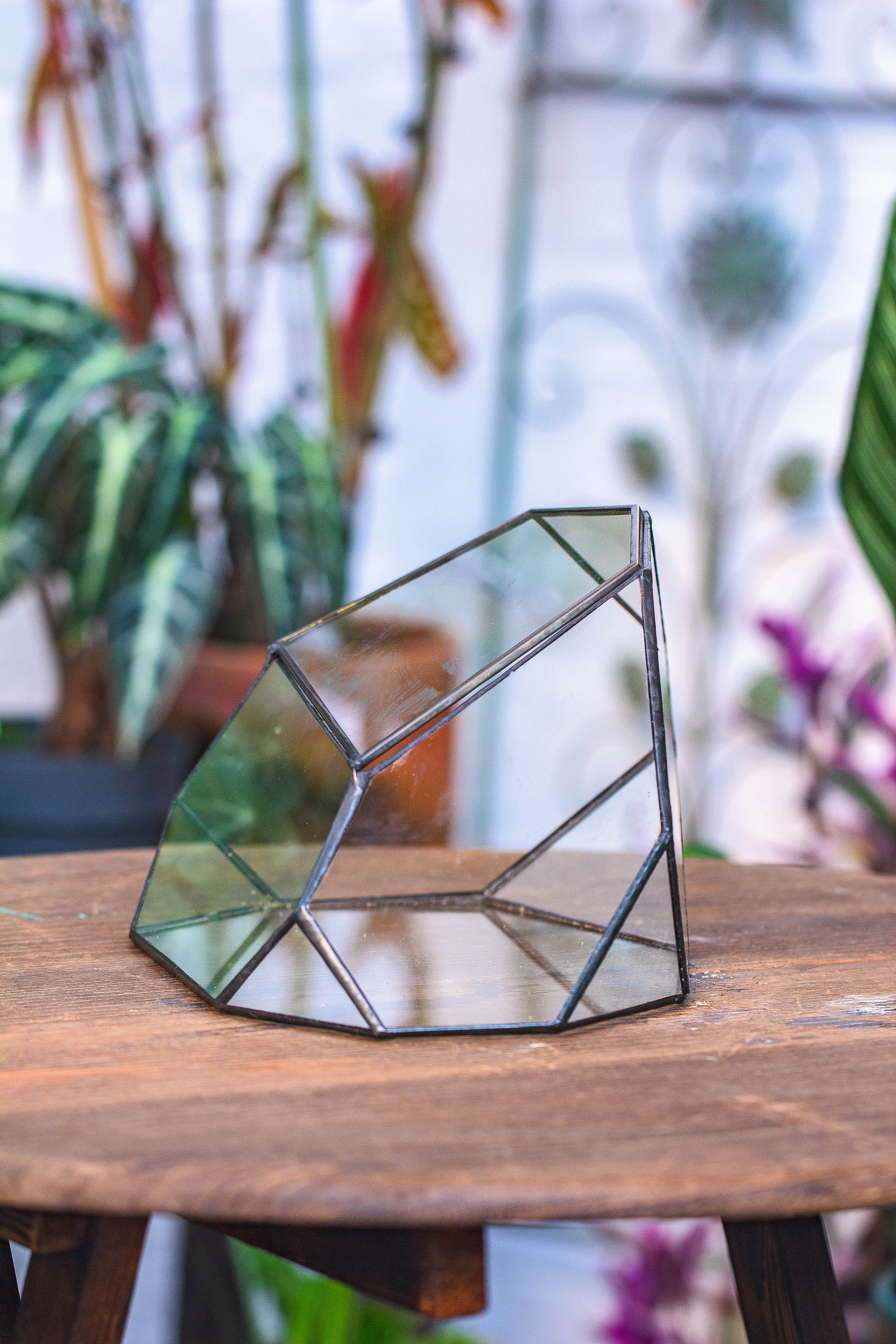 Irregular geometric rock shape glass and tin terrarium, for moss - NCYPgarden