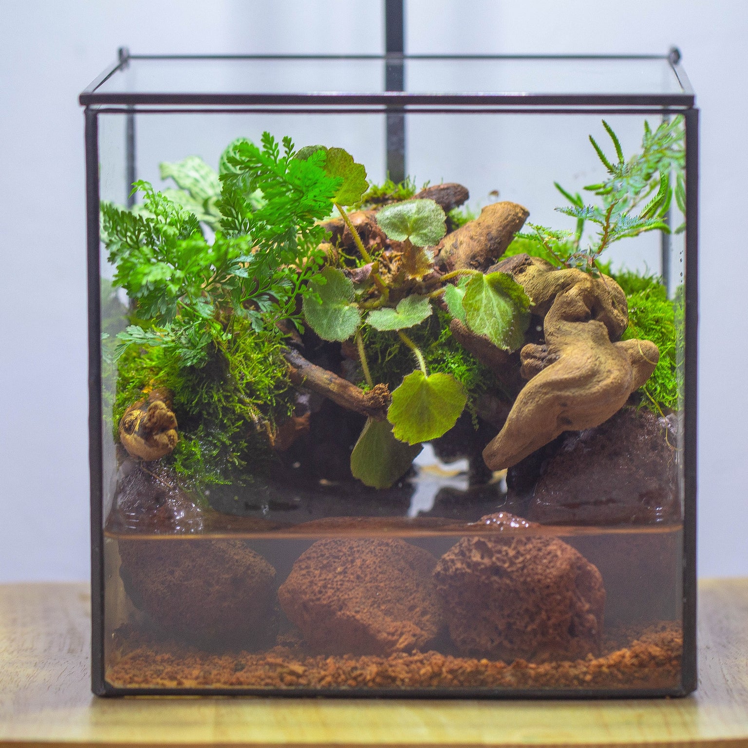 Watertight terrariums | NCYPgarden