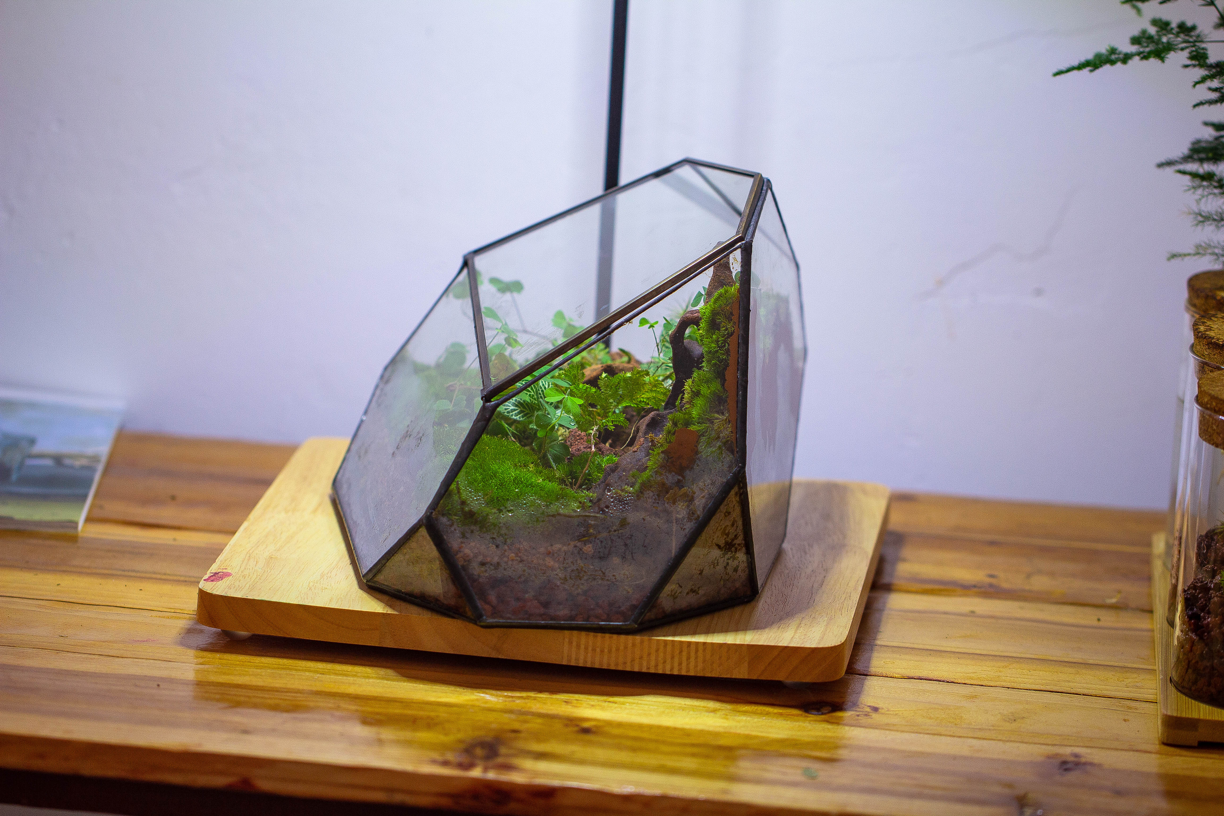 Irregular geometric rock shape glass and tin terrarium, for moss - NCYPgarden