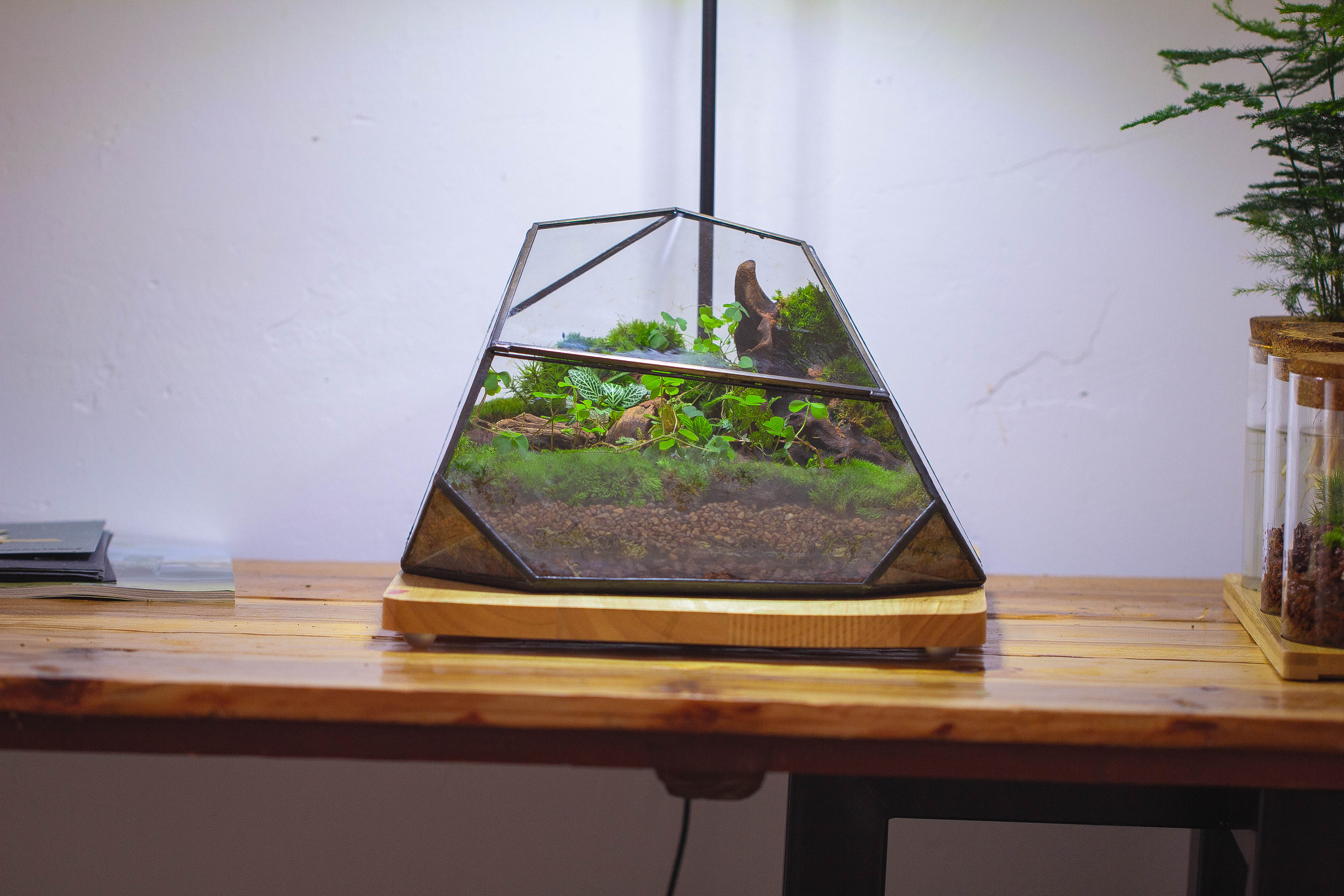 Irregular geometric rock shape glass and tin terrarium, for moss - NCYPgarden