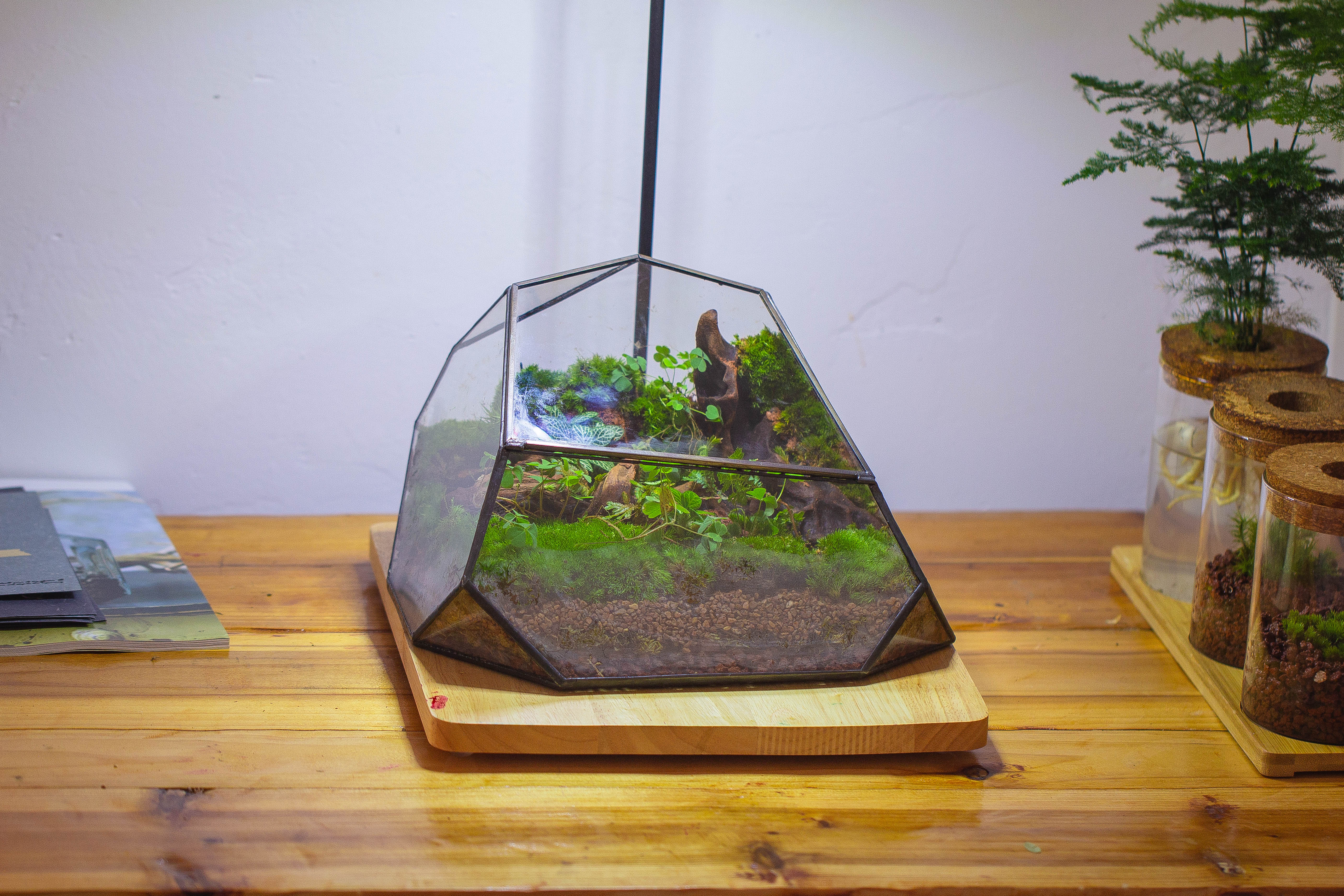 Irregular geometric rock shape glass and tin terrarium, for moss - NCYPgarden