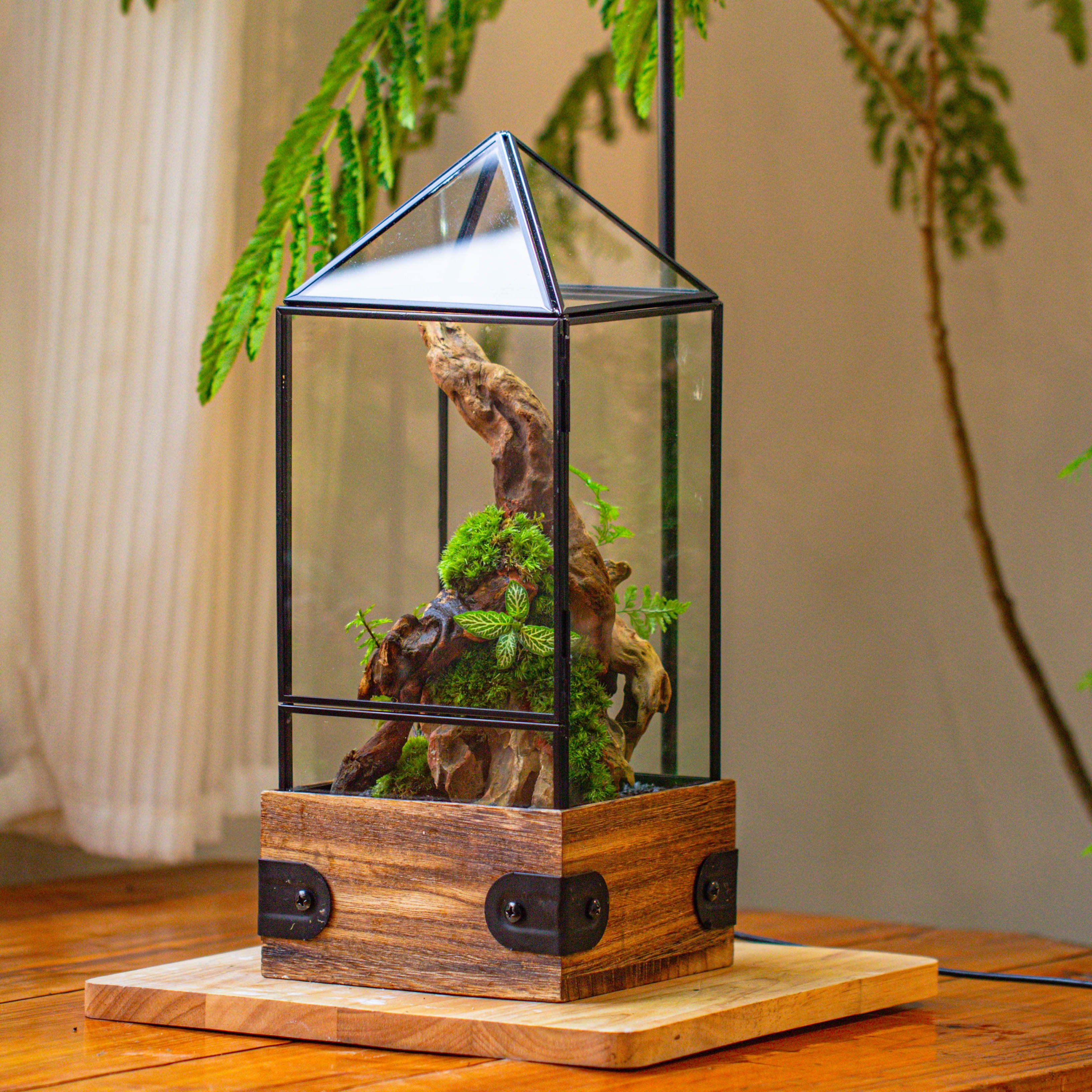 Handmade Glass Terrarium with Wood Base, Pyramid Shape  Planter with Door, with LED Wood Lamp Base for Plants, Moss Landscapes, Plant Lover Gift