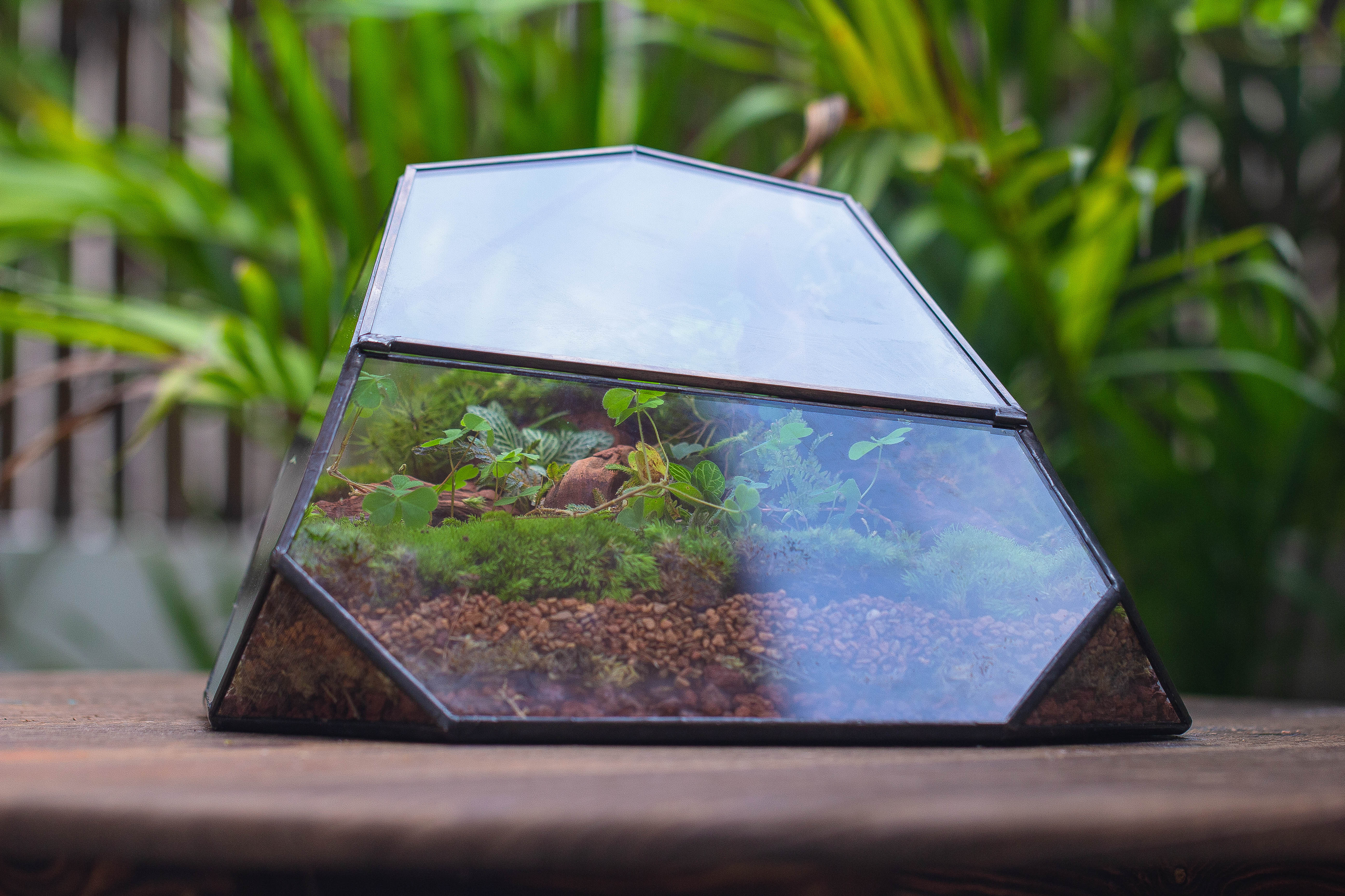 Irregular geometric rock shape glass and tin terrarium, for moss - NCYPgarden