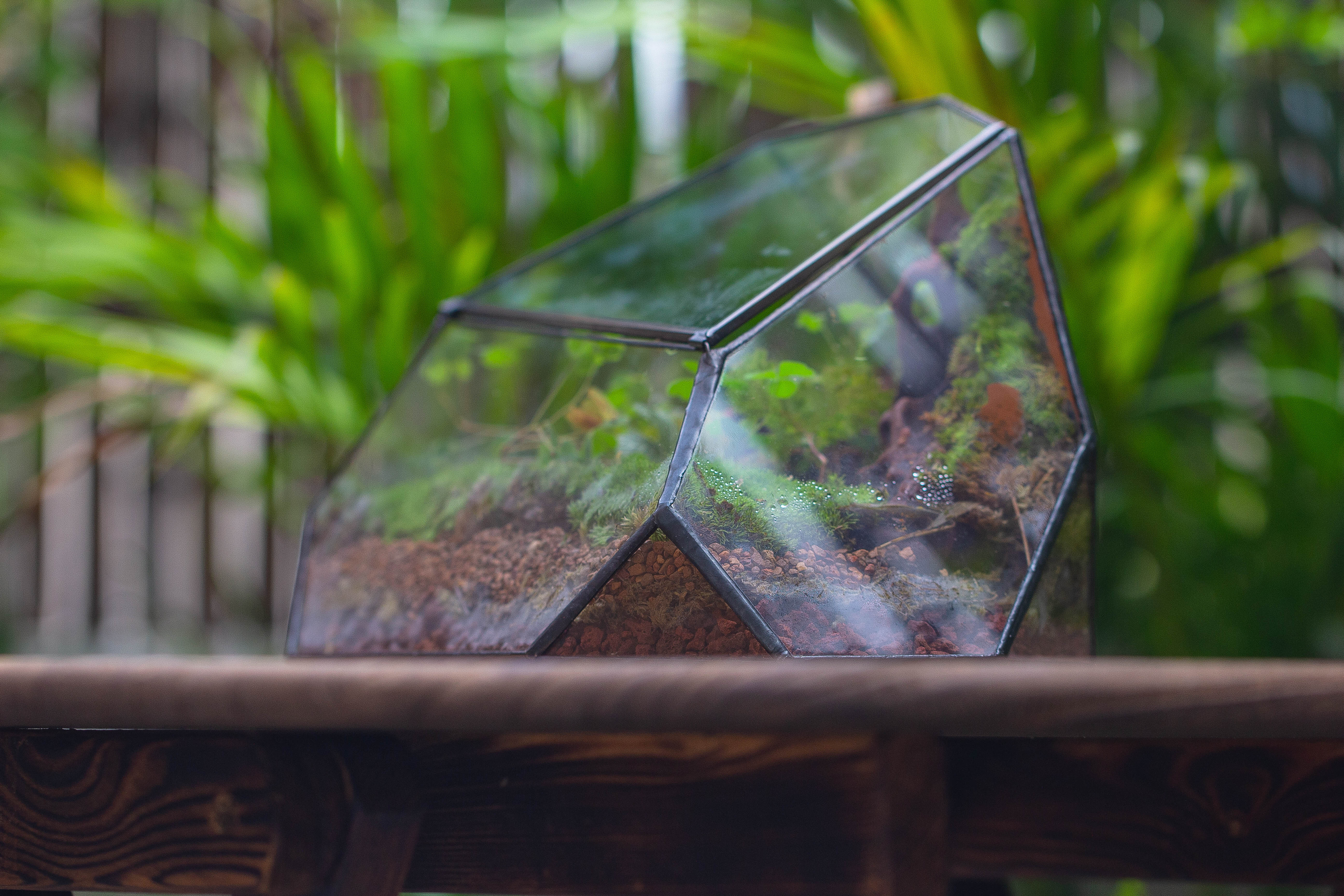 Irregular geometric rock shape glass and tin terrarium, for moss - NCYPgarden