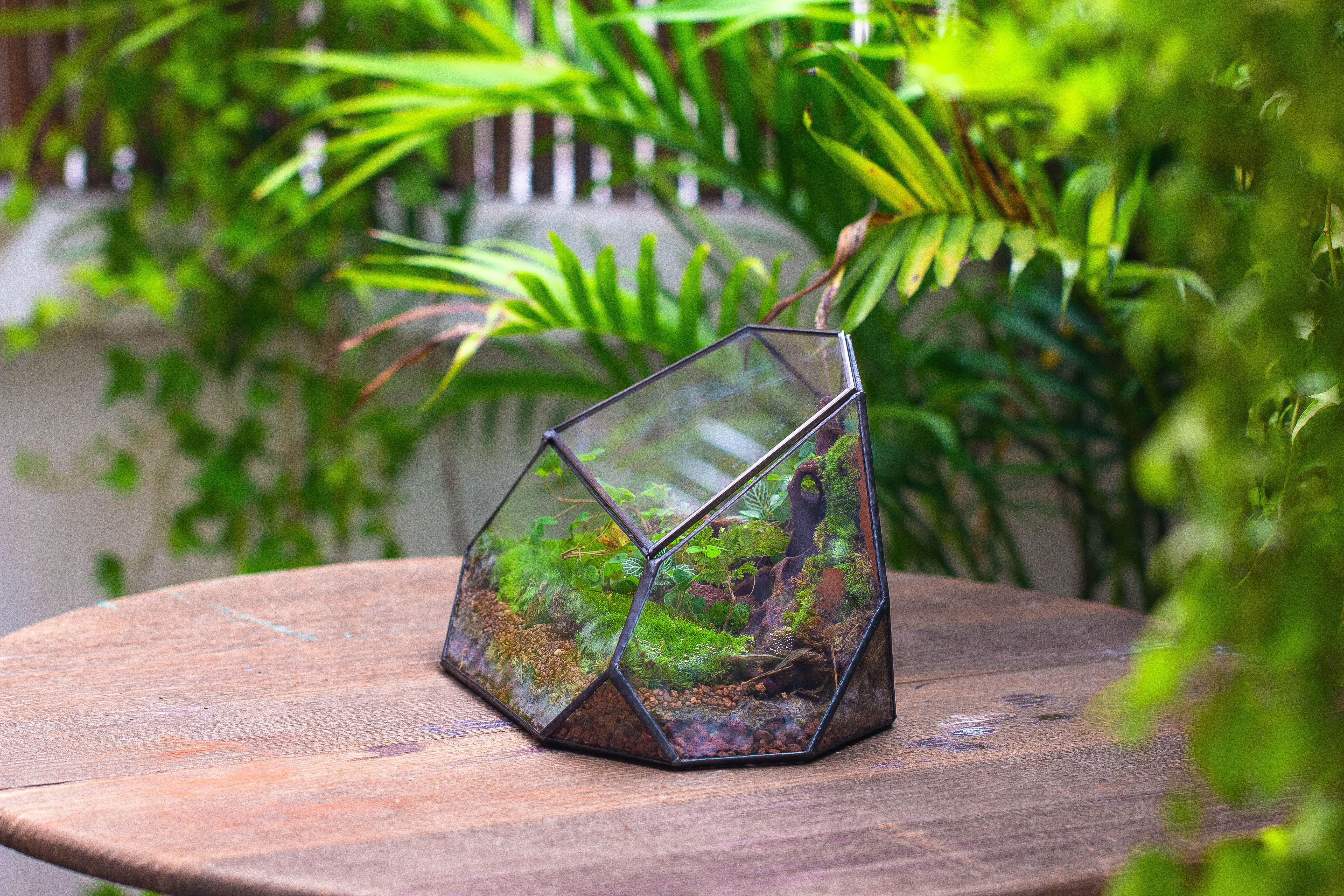 Irregular geometric rock shape glass and tin terrarium, for moss - NCYPgarden