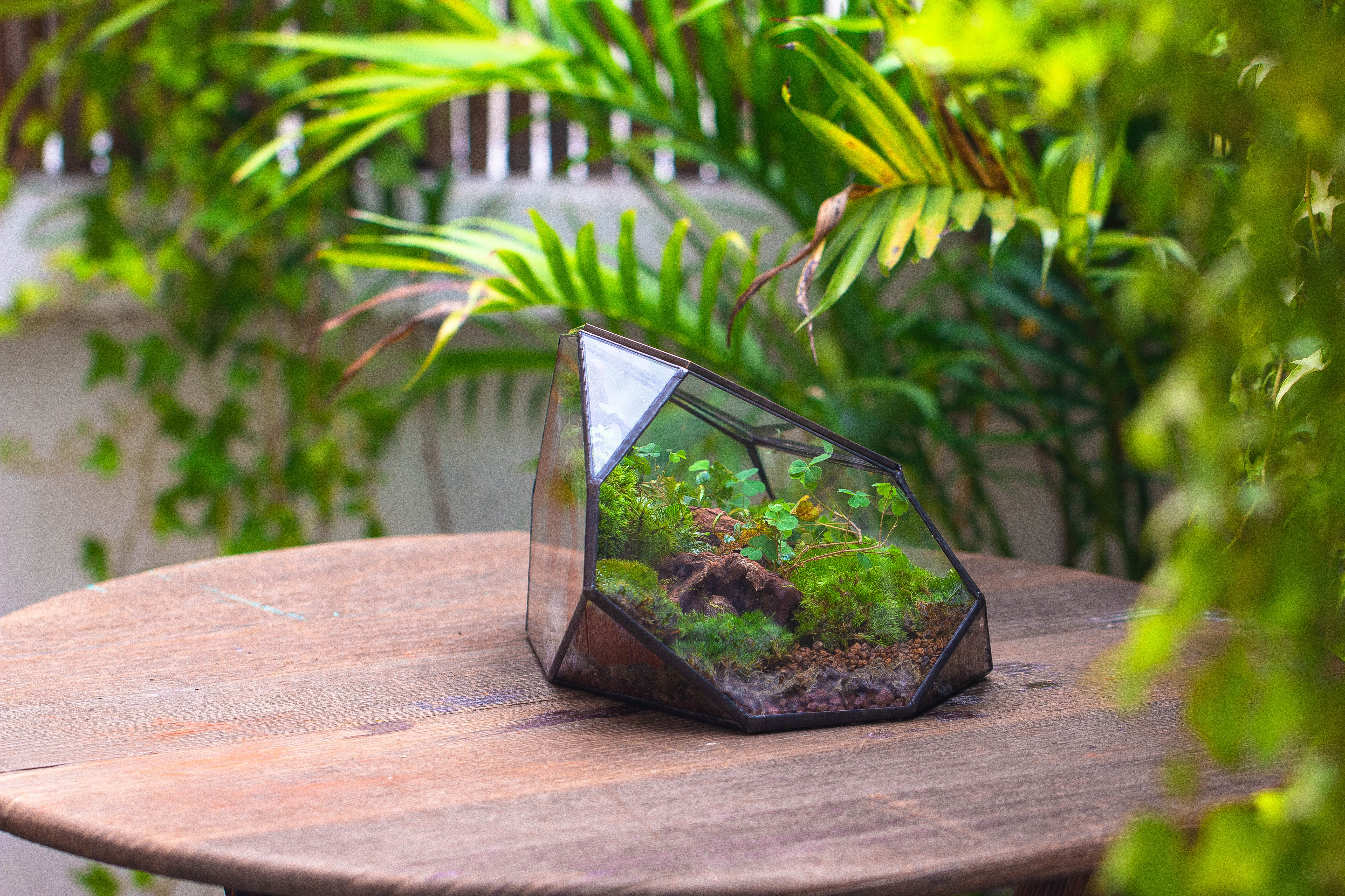 Irregular geometric rock shape glass and tin terrarium, for moss - NCYPgarden