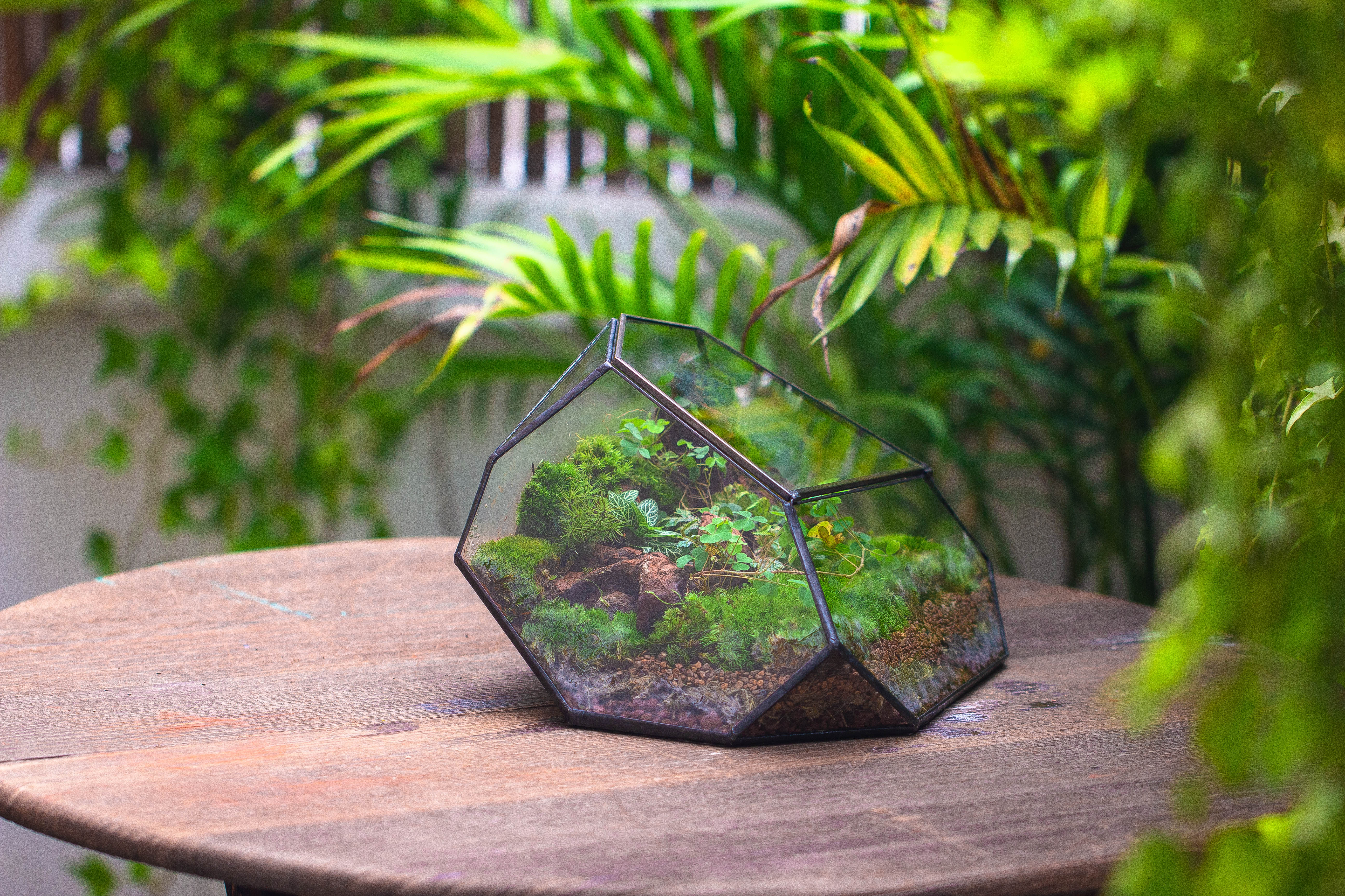 Irregular geometric rock shape glass and tin terrarium, for moss - NCYPgarden