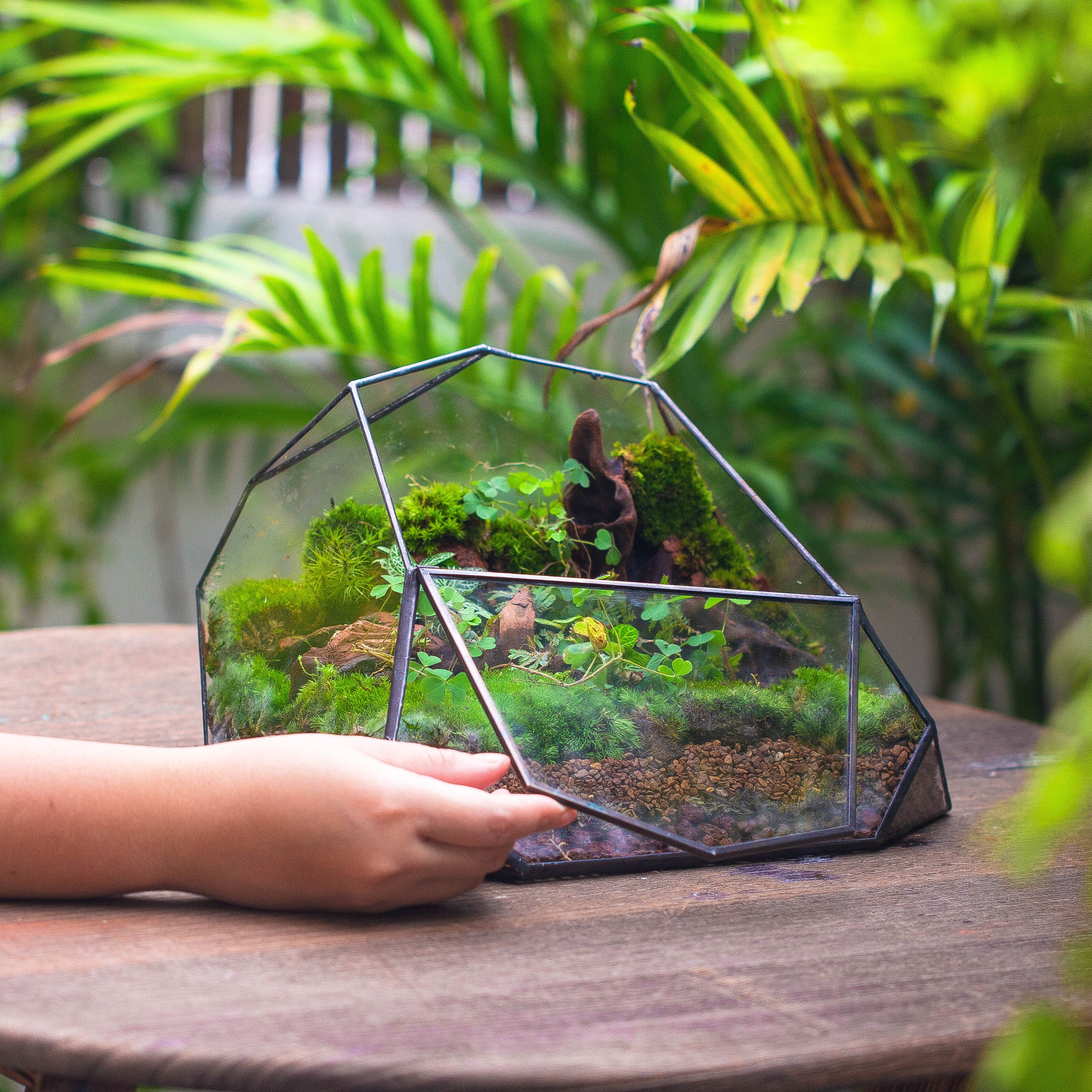 Irregular geometric rock shape glass and tin terrarium, for moss - NCYPgarden