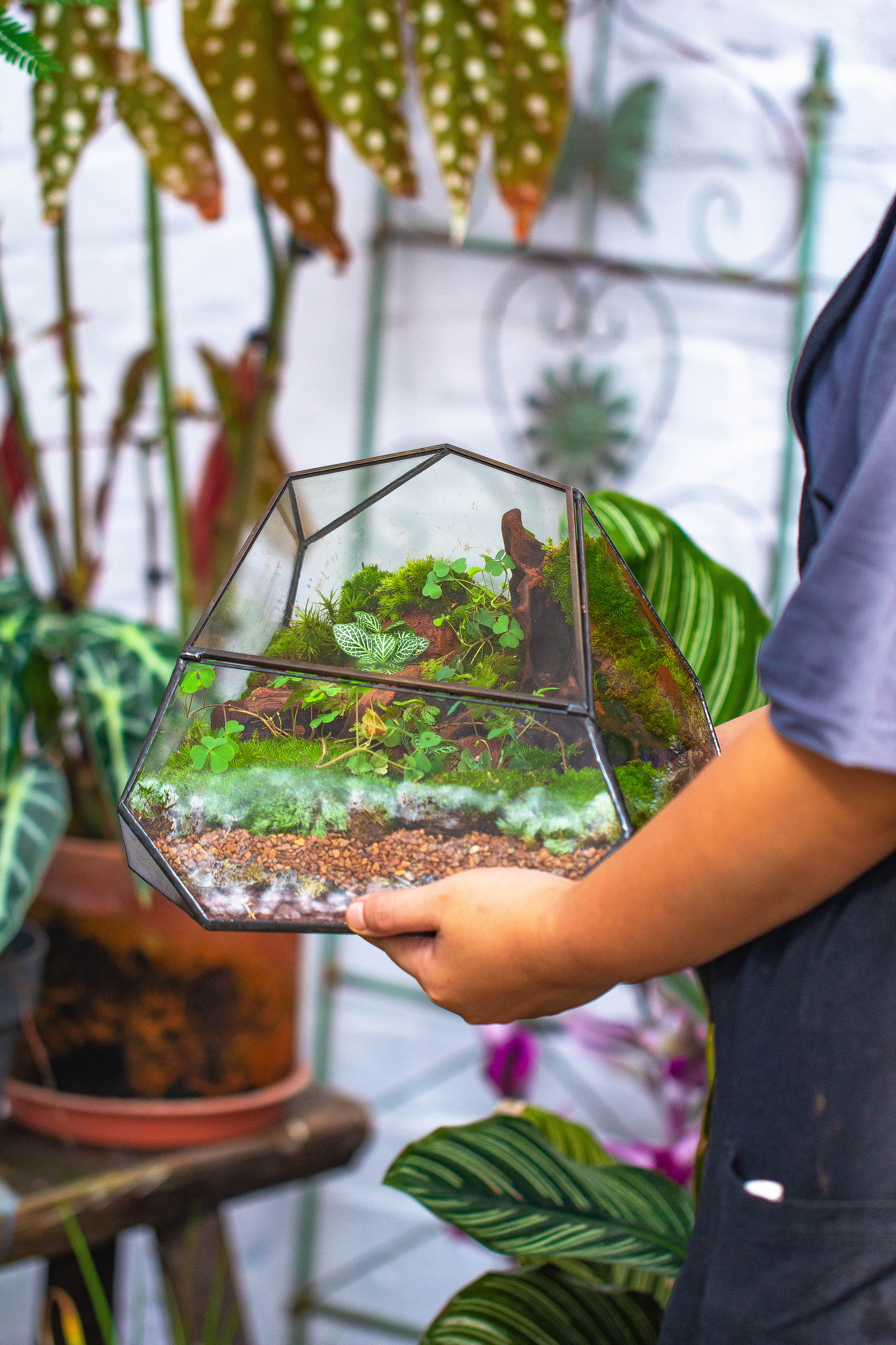 Irregular geometric rock shape glass and tin terrarium, for moss - NCYPgarden