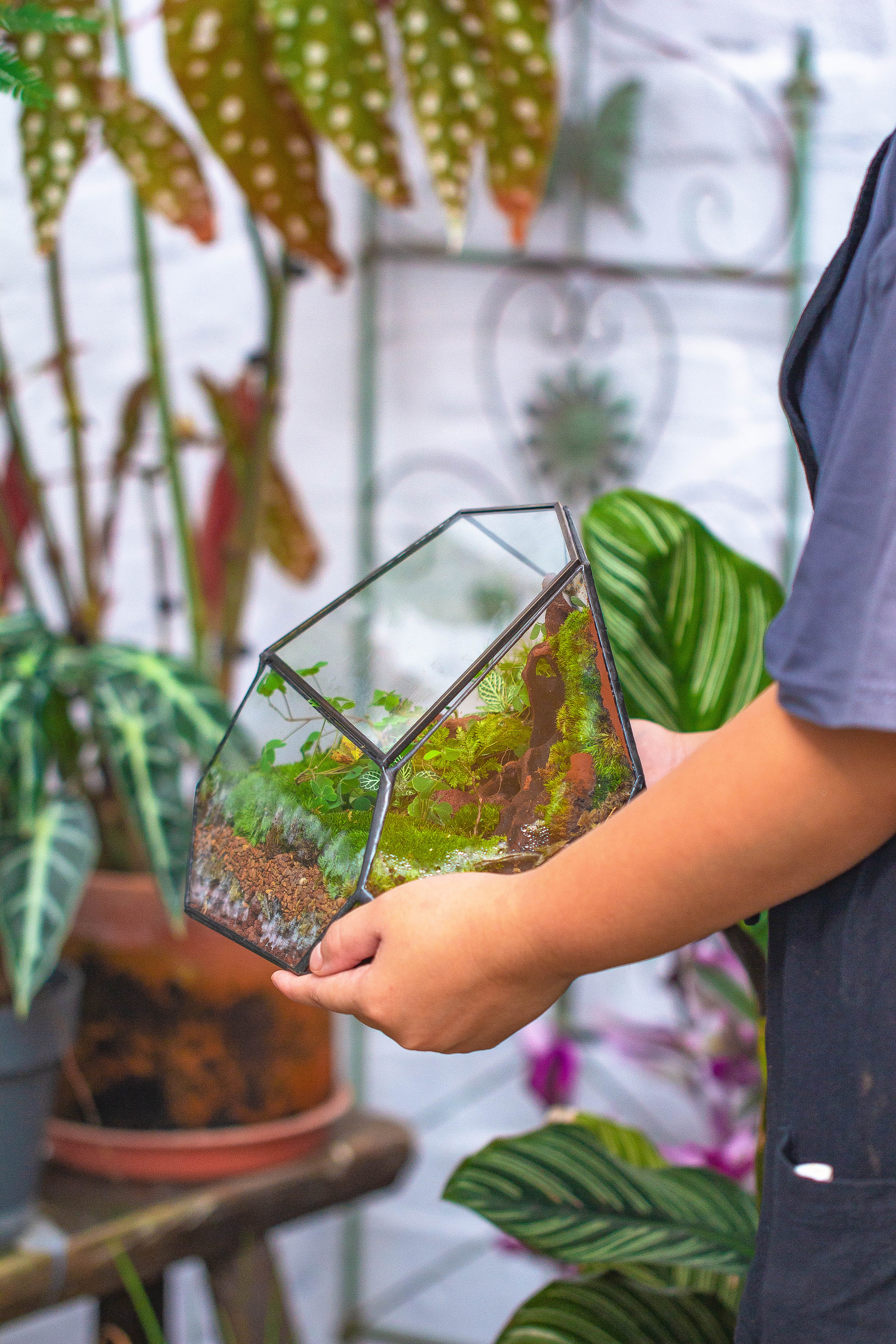 Irregular geometric rock shape glass and tin terrarium, for moss - NCYPgarden