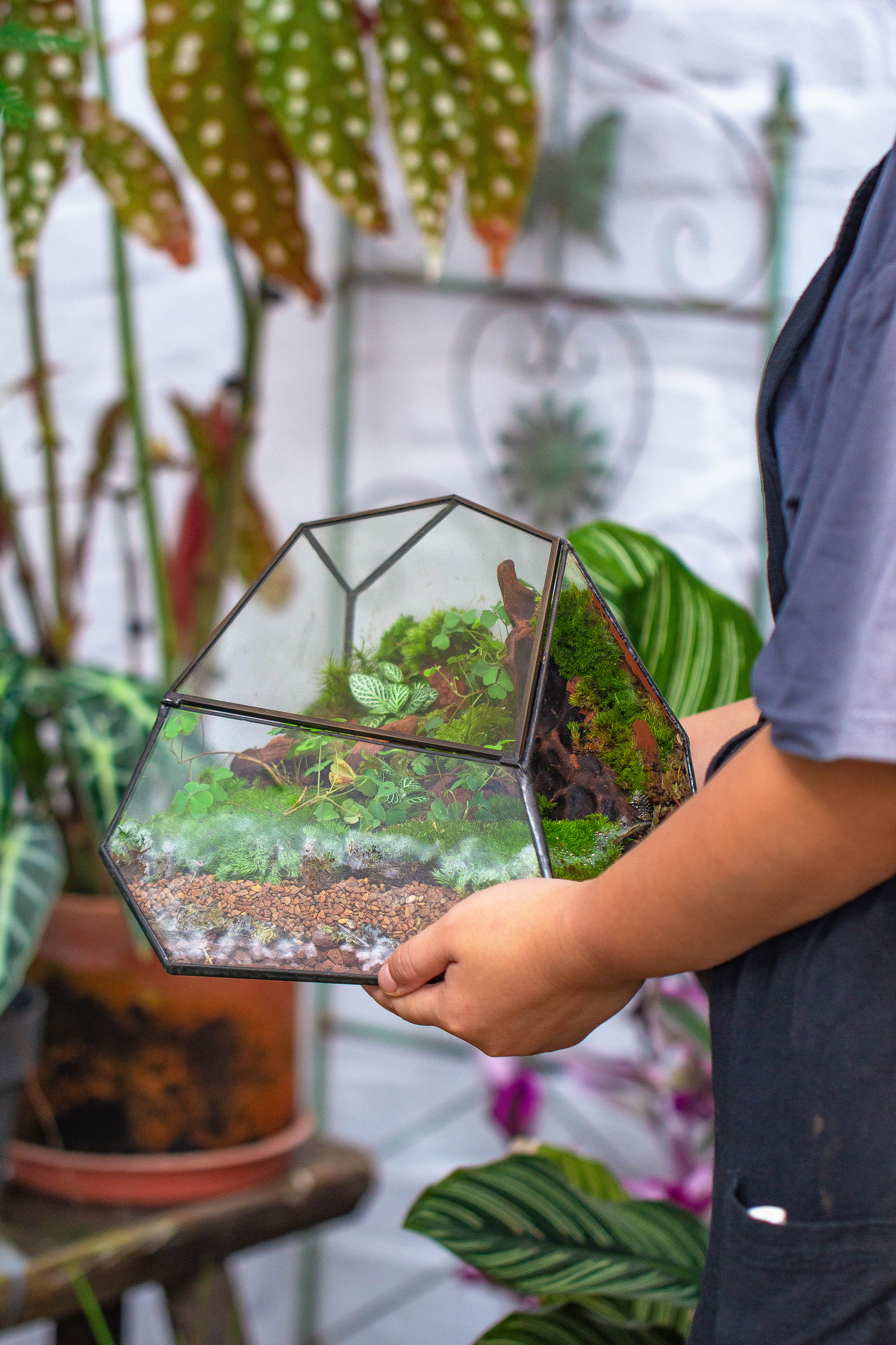 Irregular geometric rock shape glass and tin terrarium, for moss - NCYPgarden