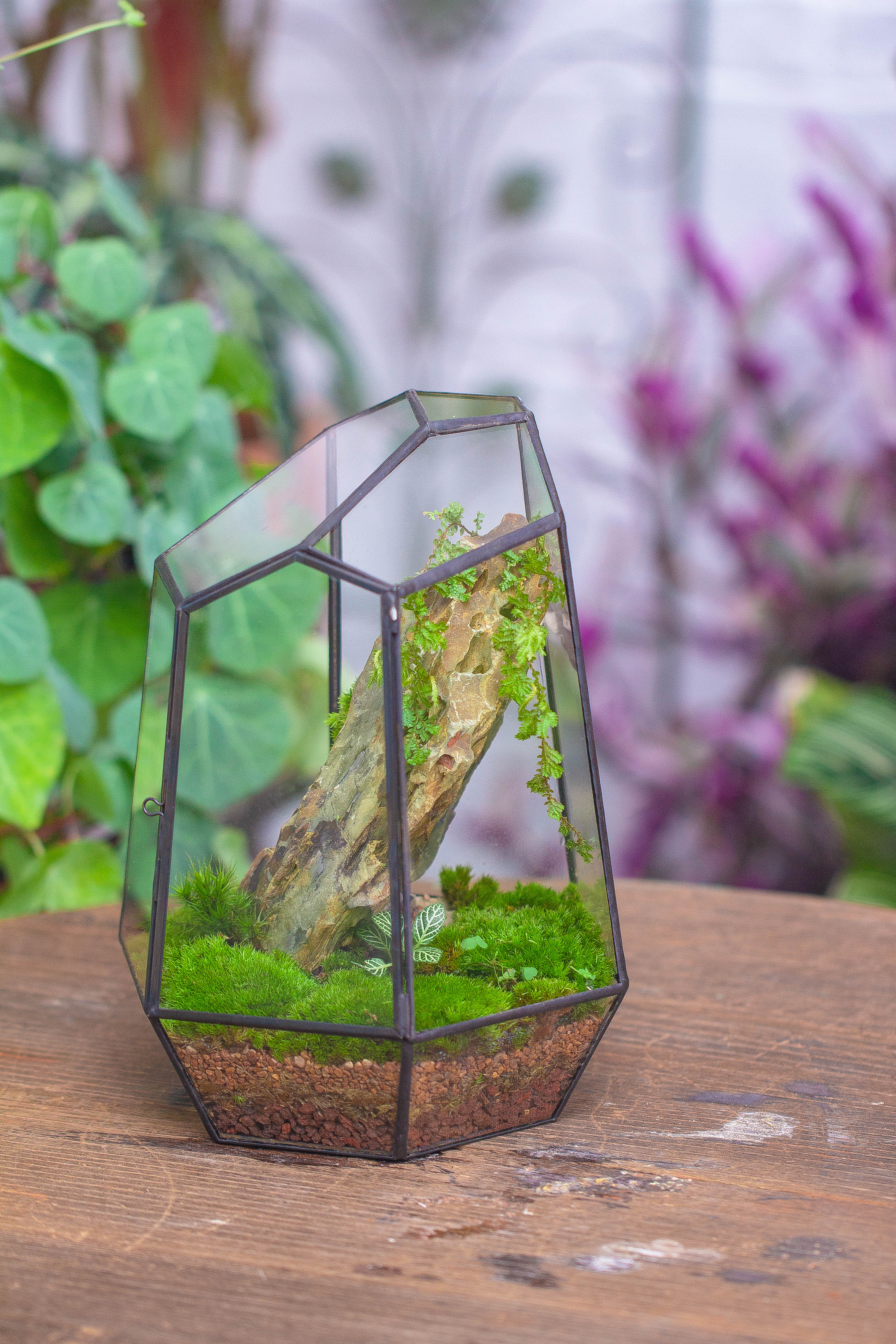 NCYP Close Geometric Glass Terrarium with Door, Tin Sealed Irregular Tall Planter for moss Flower Pot - NCYPgarden