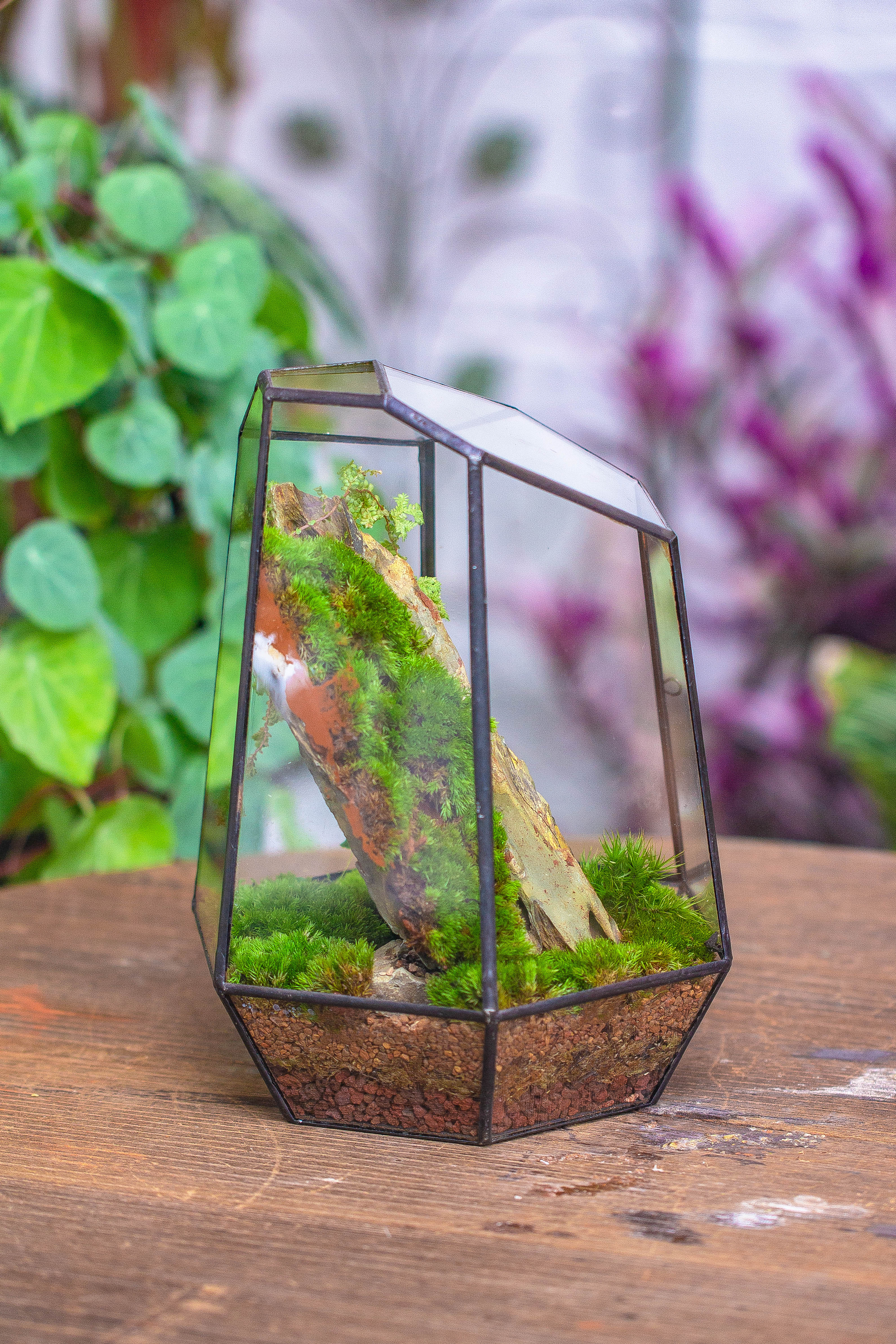 NCYP Close Geometric Glass Terrarium with Door, Tin Sealed Irregular Tall Planter for moss Flower Pot - NCYPgarden