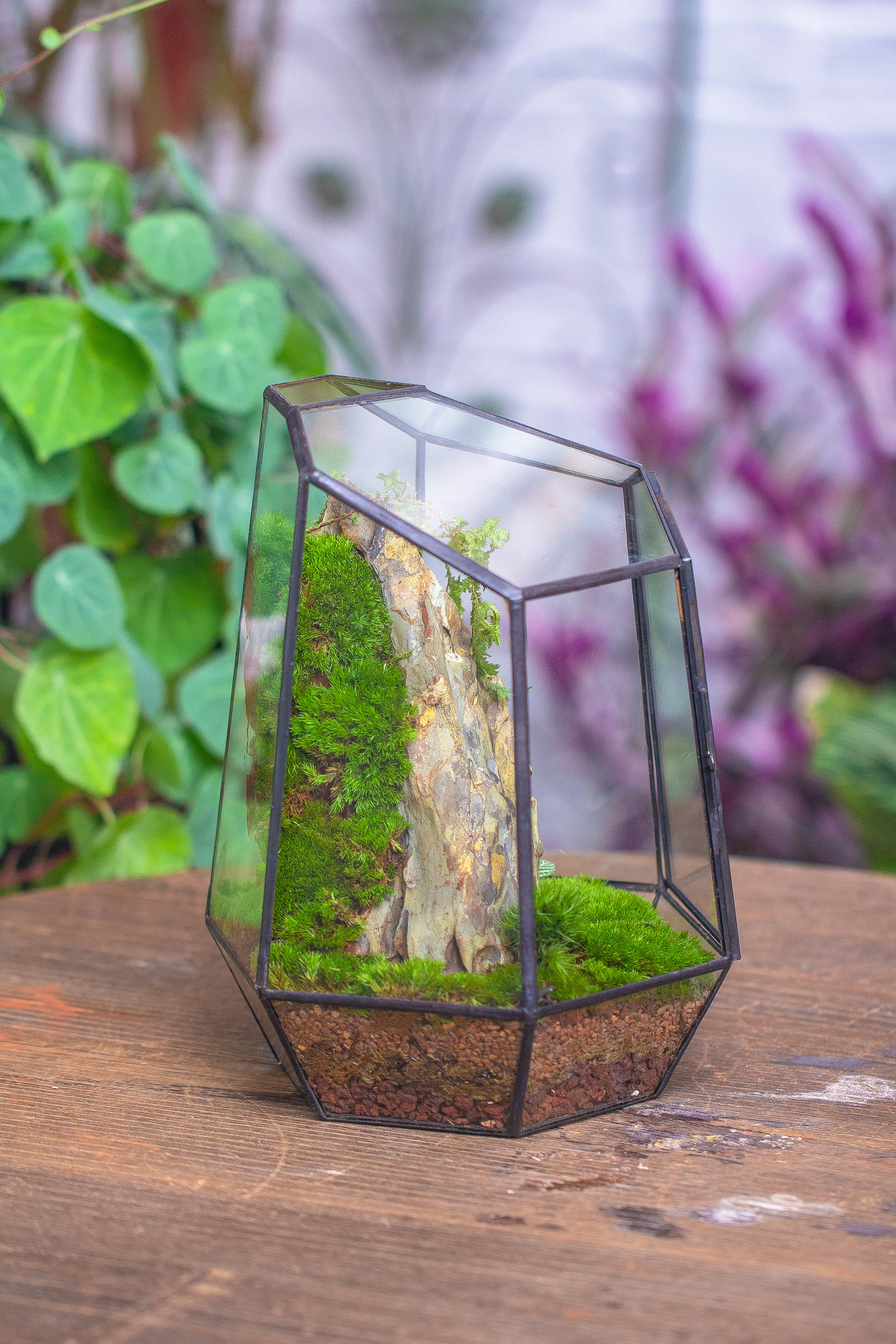 NCYP Close Geometric Glass Terrarium with Door, Tin Sealed Irregular Tall Planter for moss Flower Pot - NCYPgarden