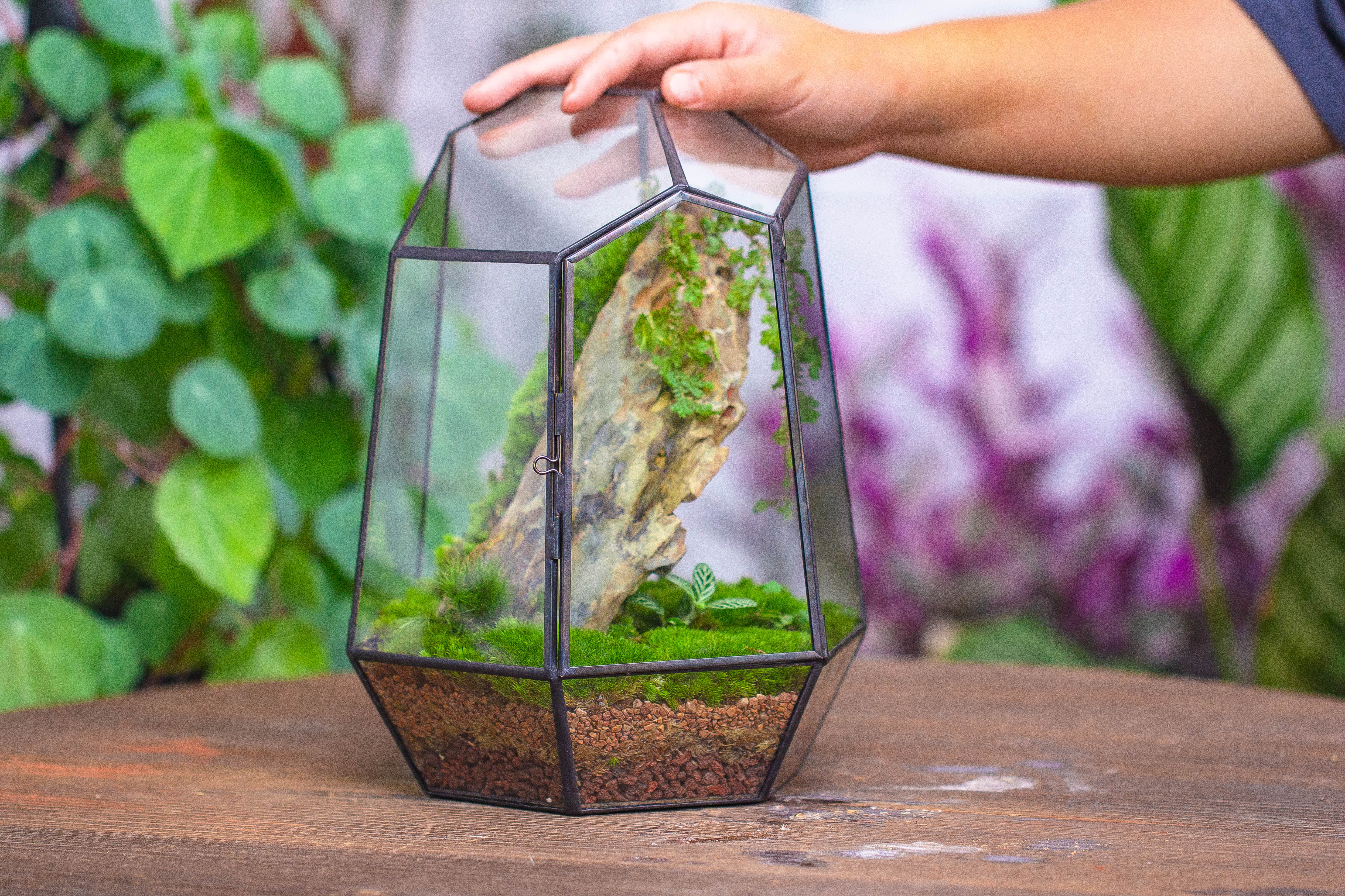 NCYP Close Geometric Glass Terrarium with Door, Tin Sealed Irregular Tall Planter for moss Flower Pot - NCYPgarden