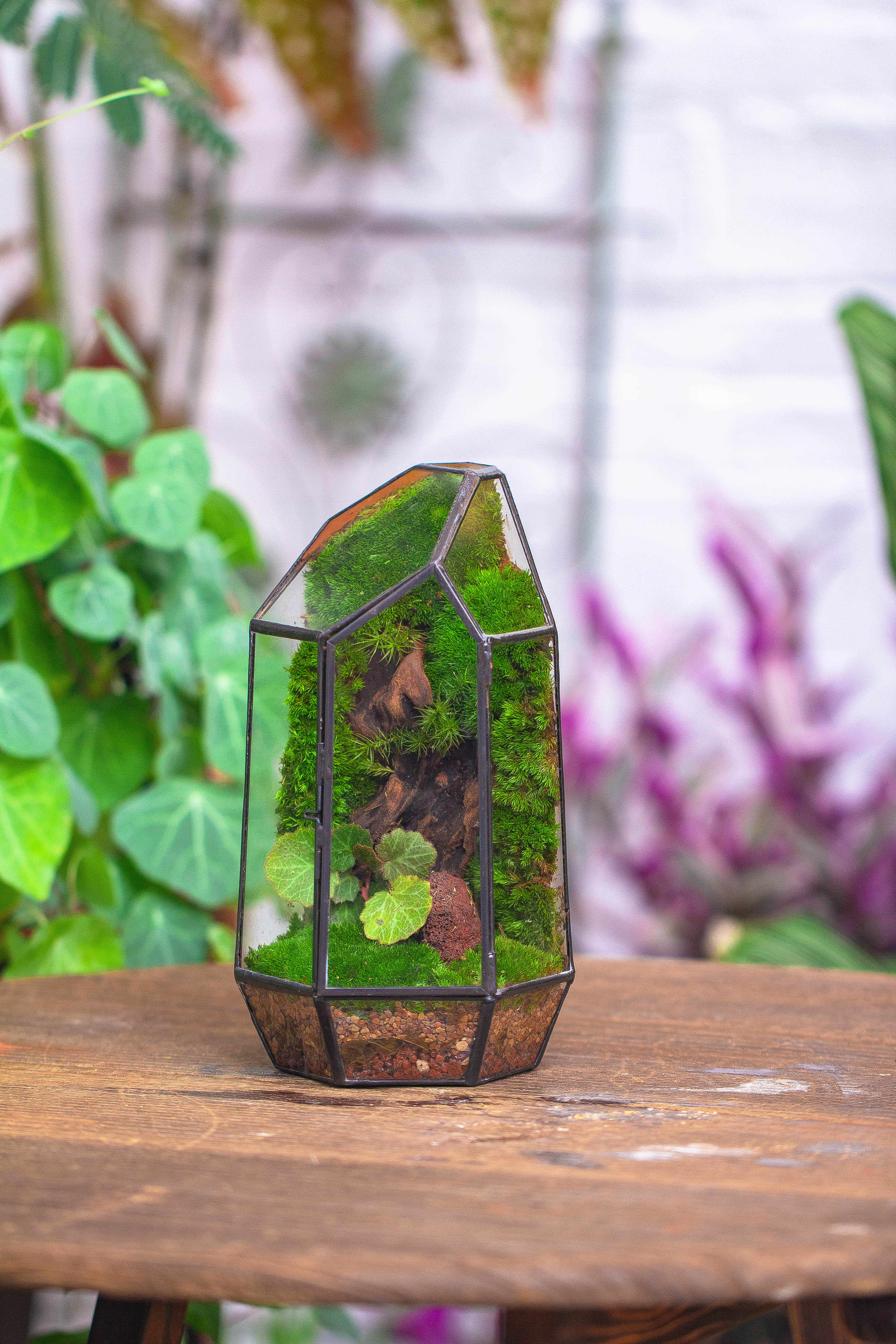 Handmade Black Various Size Irregular Tall Geometric Glass Terrarium Garden Succulents - NCYPgarden