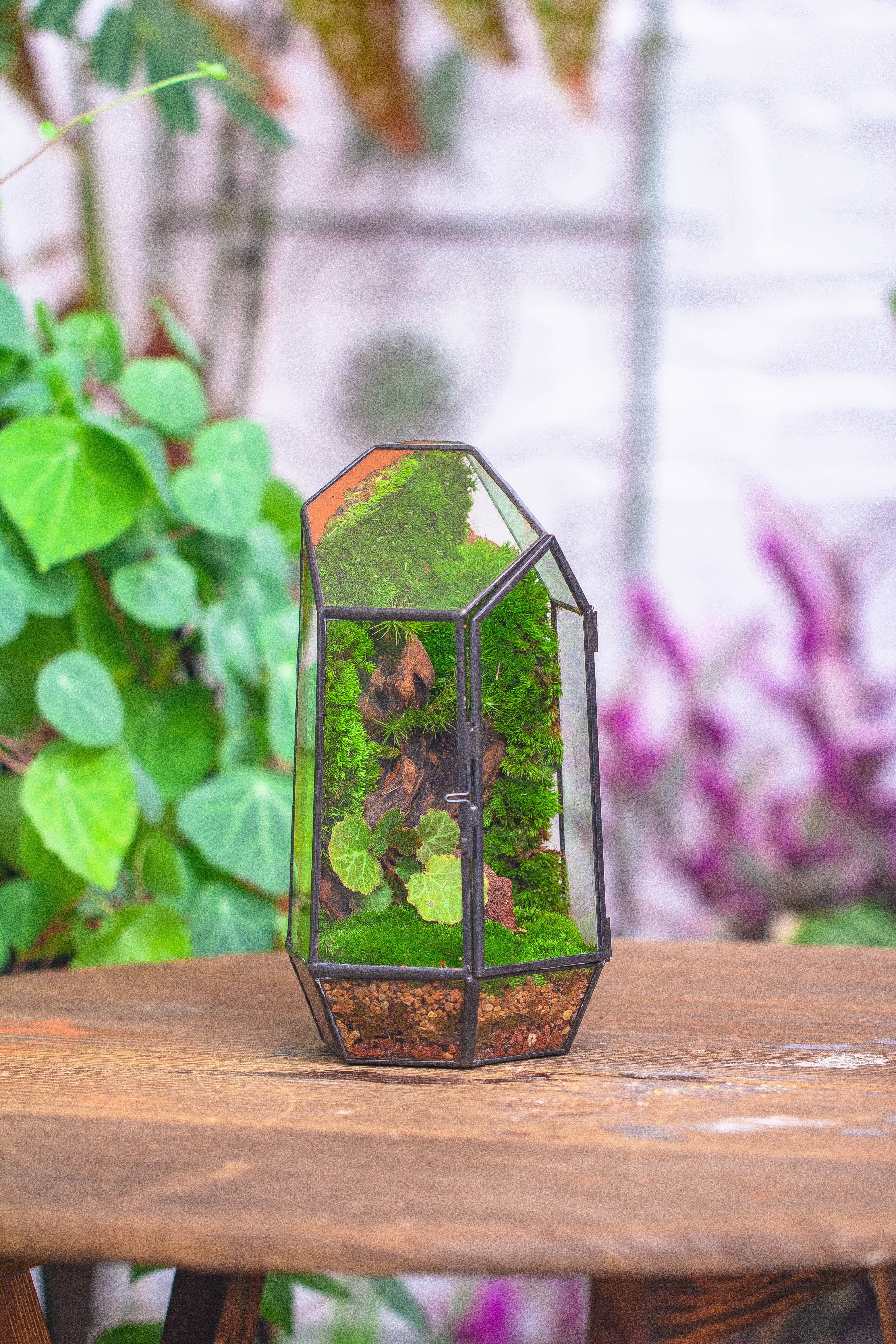 Handmade Black Various Size Irregular Tall Geometric Glass Terrarium Garden Succulents - NCYPgarden