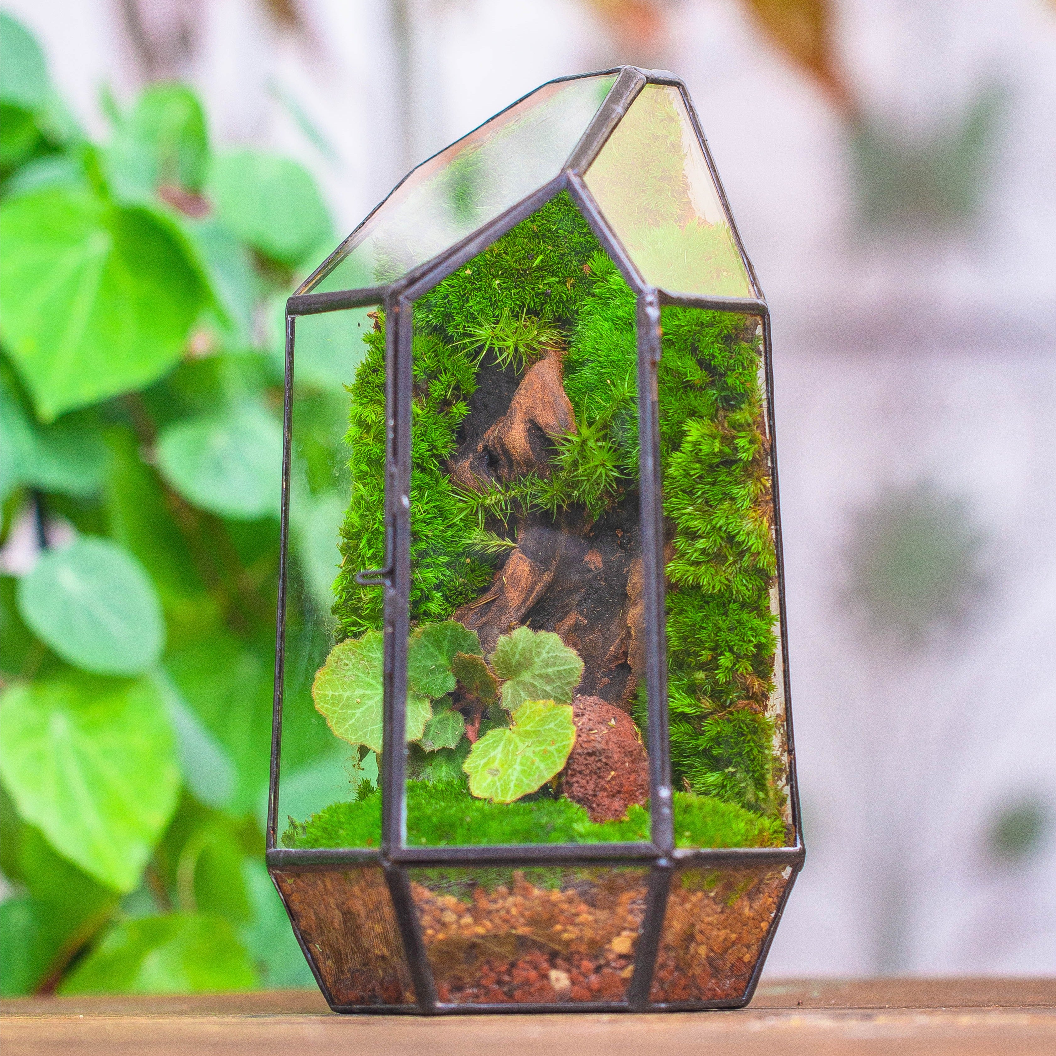 Handmade Black Various Size Irregular Tall Geometric Glass Terrarium Garden Succulents - NCYPgarden